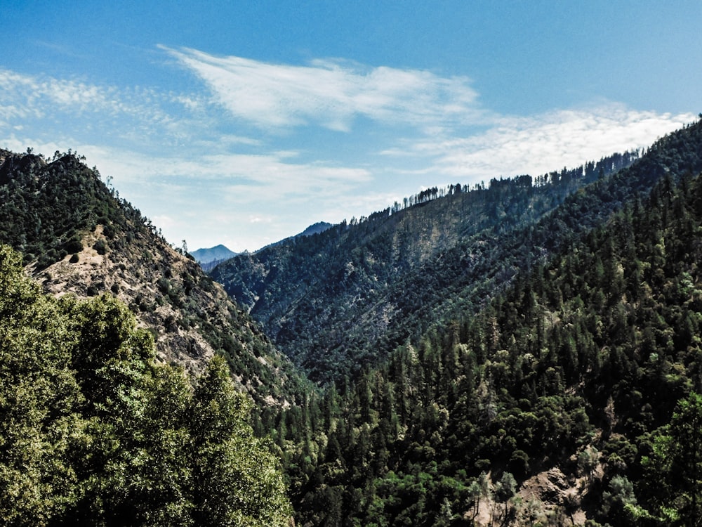 a scenic view of a mountain range with trees in the foreground