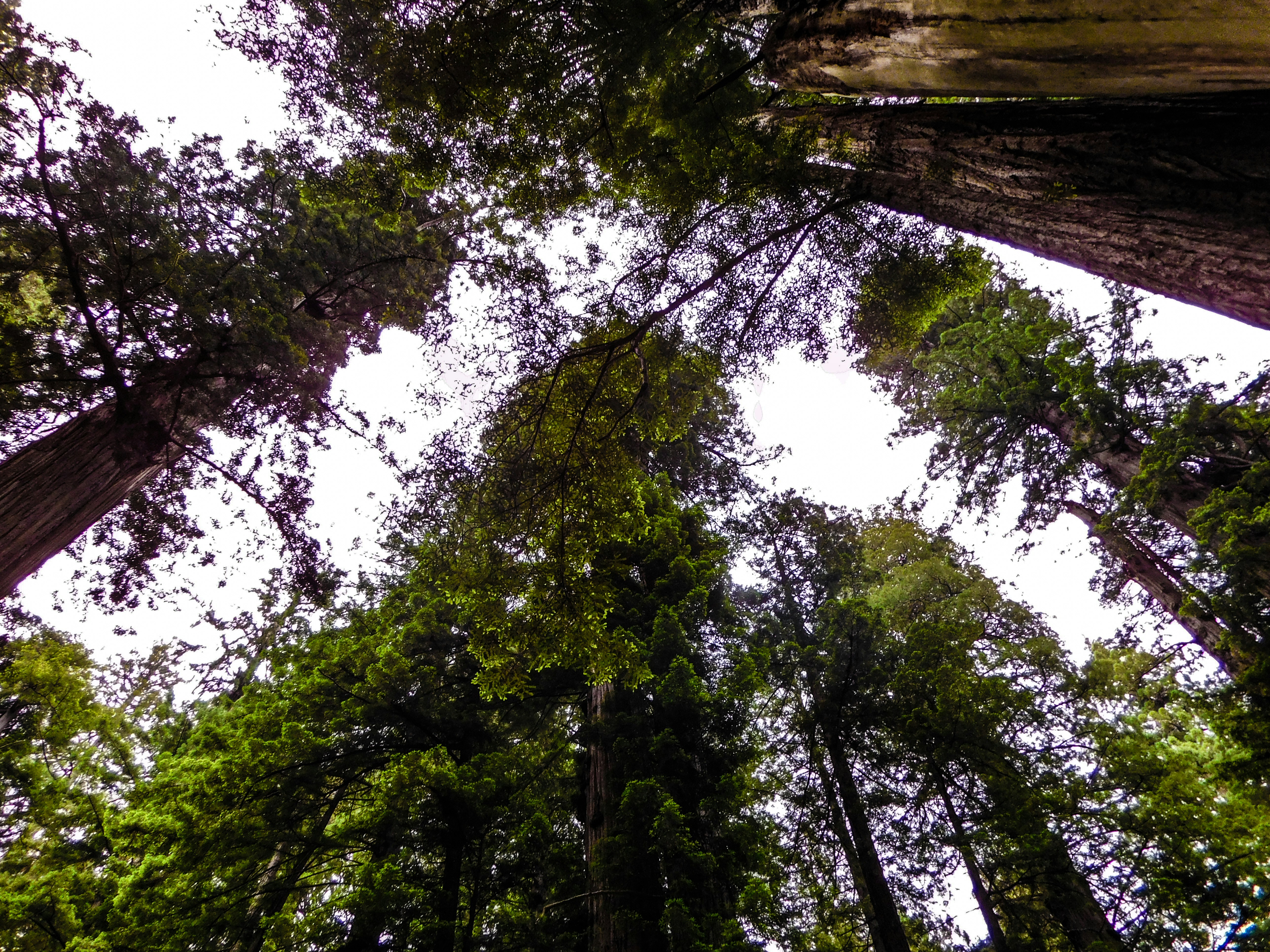 Photo by prphotography262