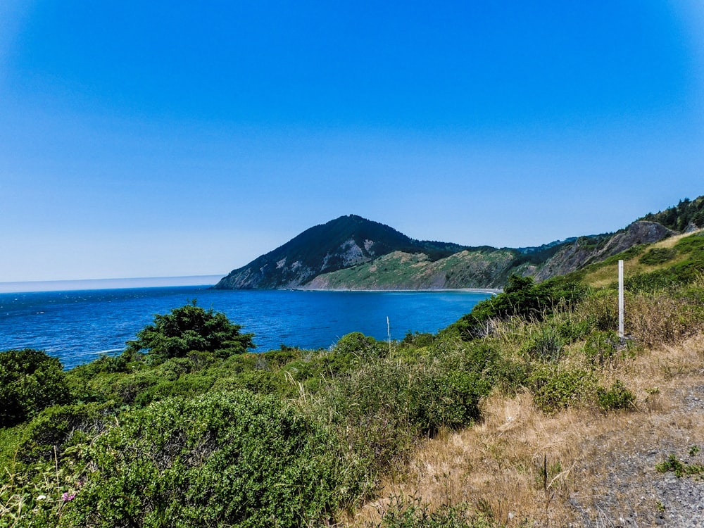 a scenic view of the ocean from a trail