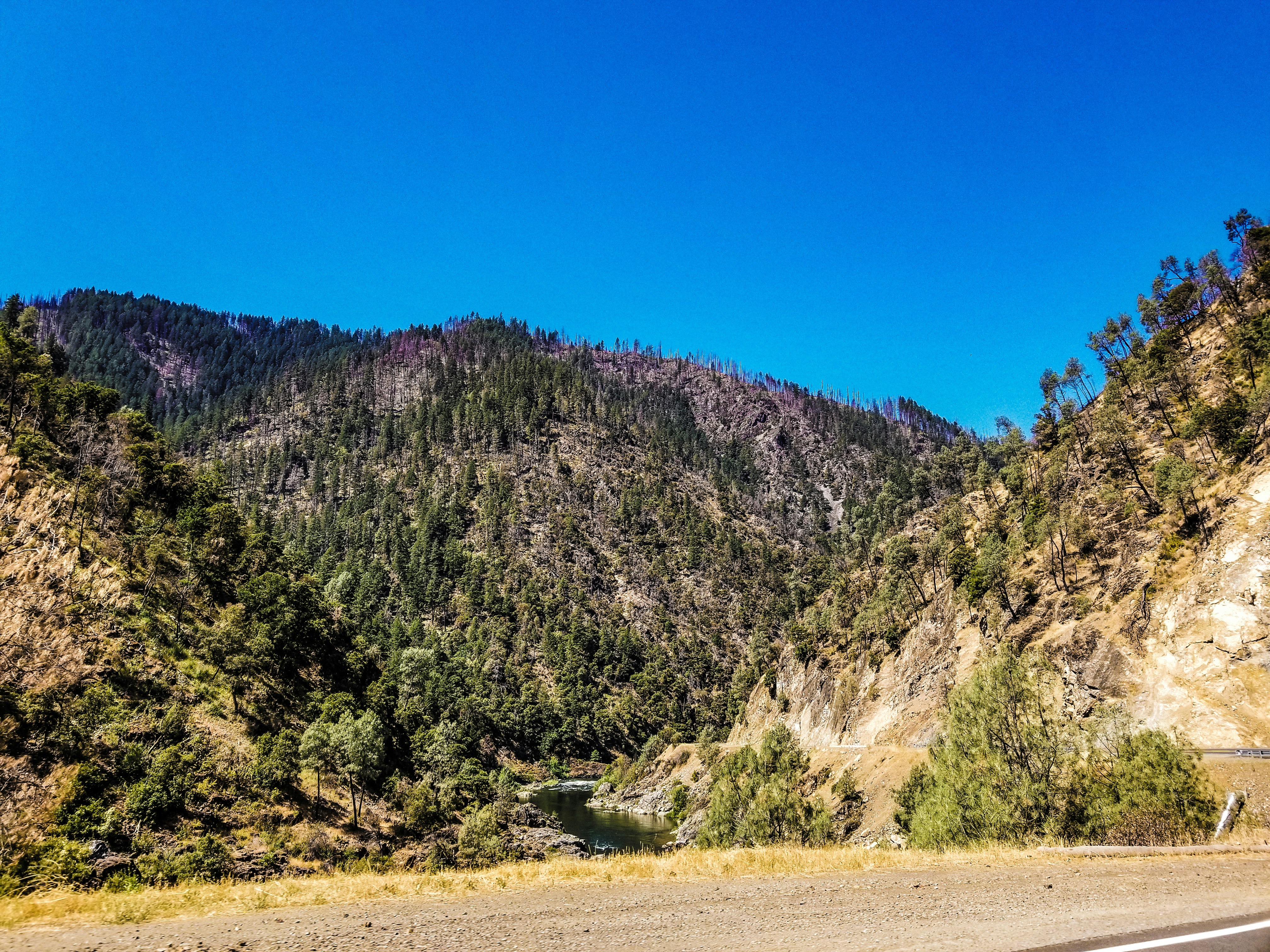 Trinity County, California