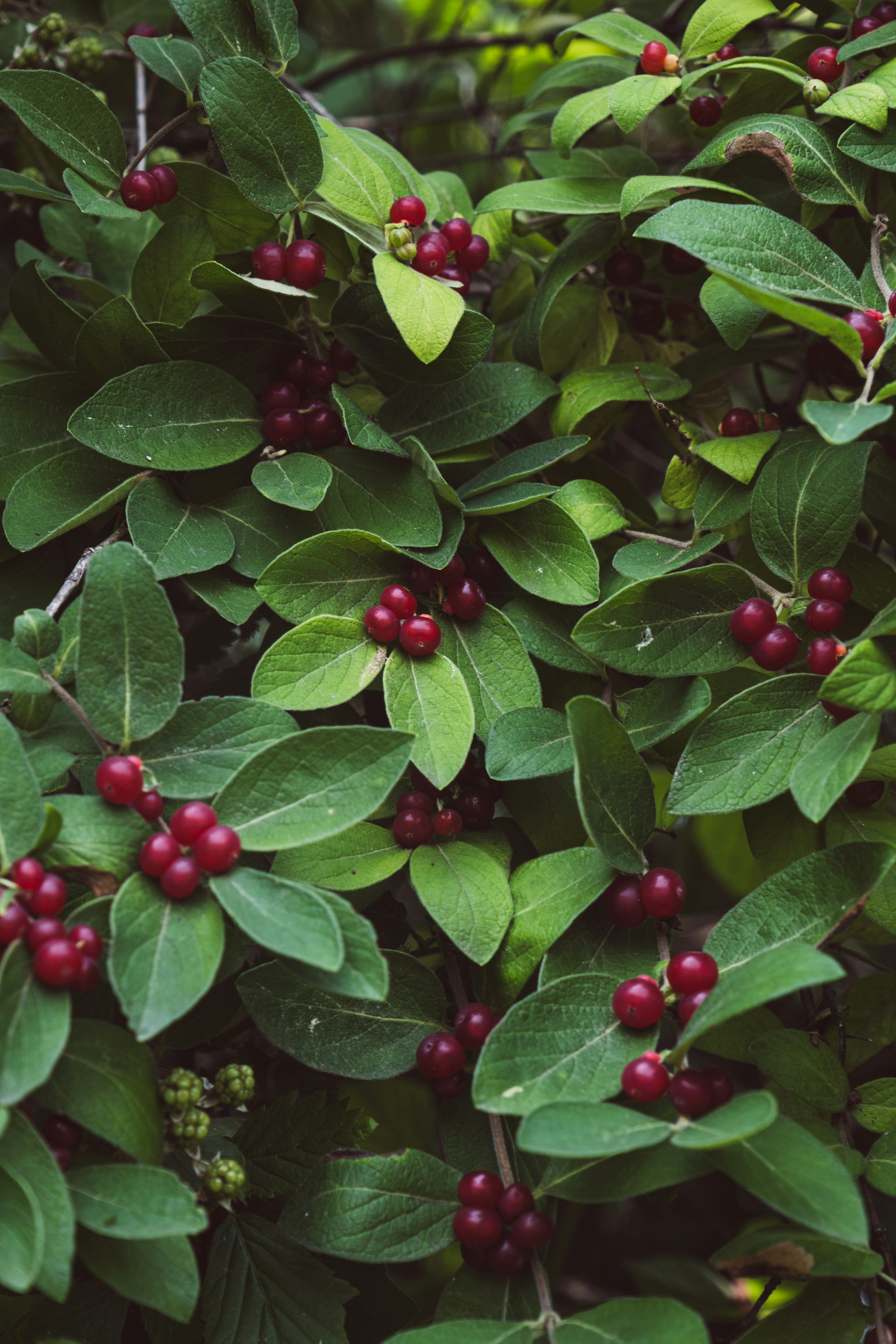 Photo by nellie_adamyan