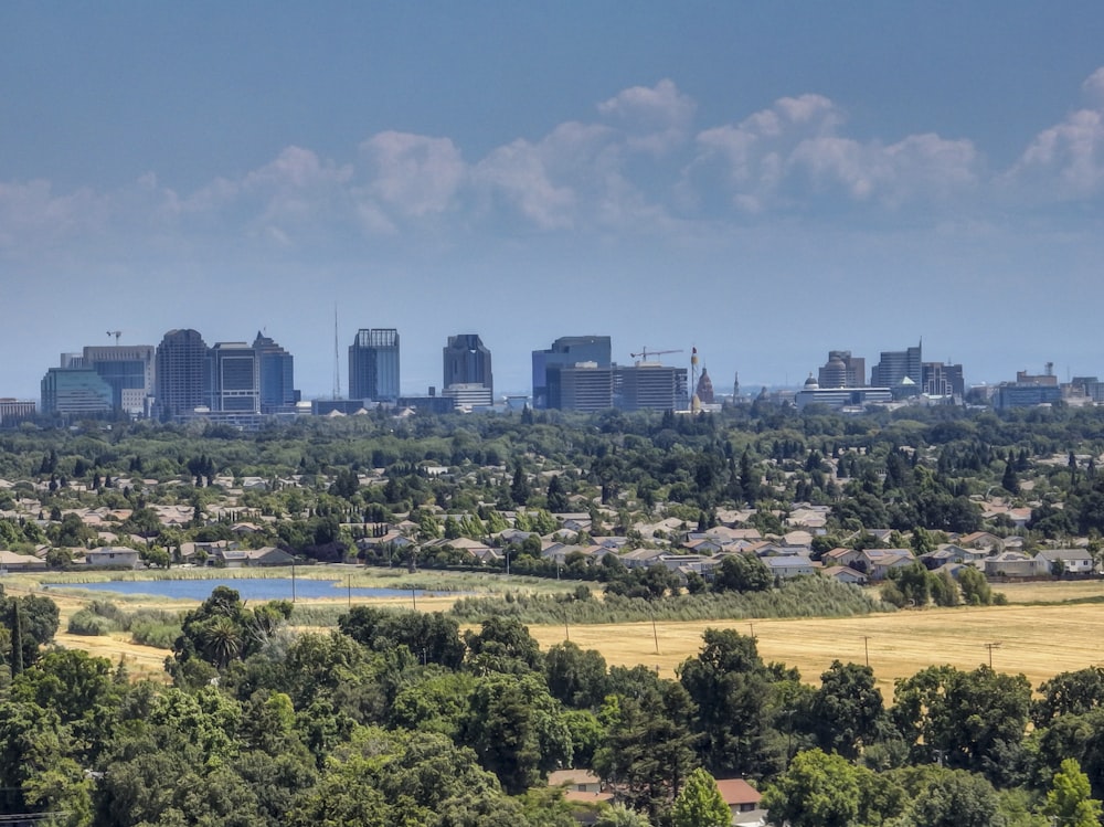 a view of a city with a lake in the foreground