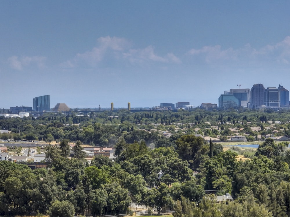 a city with a lot of trees and buildings