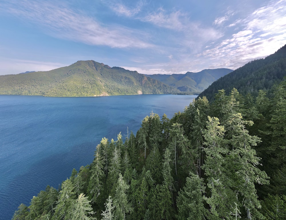 a scenic view of a body of water surrounded by trees