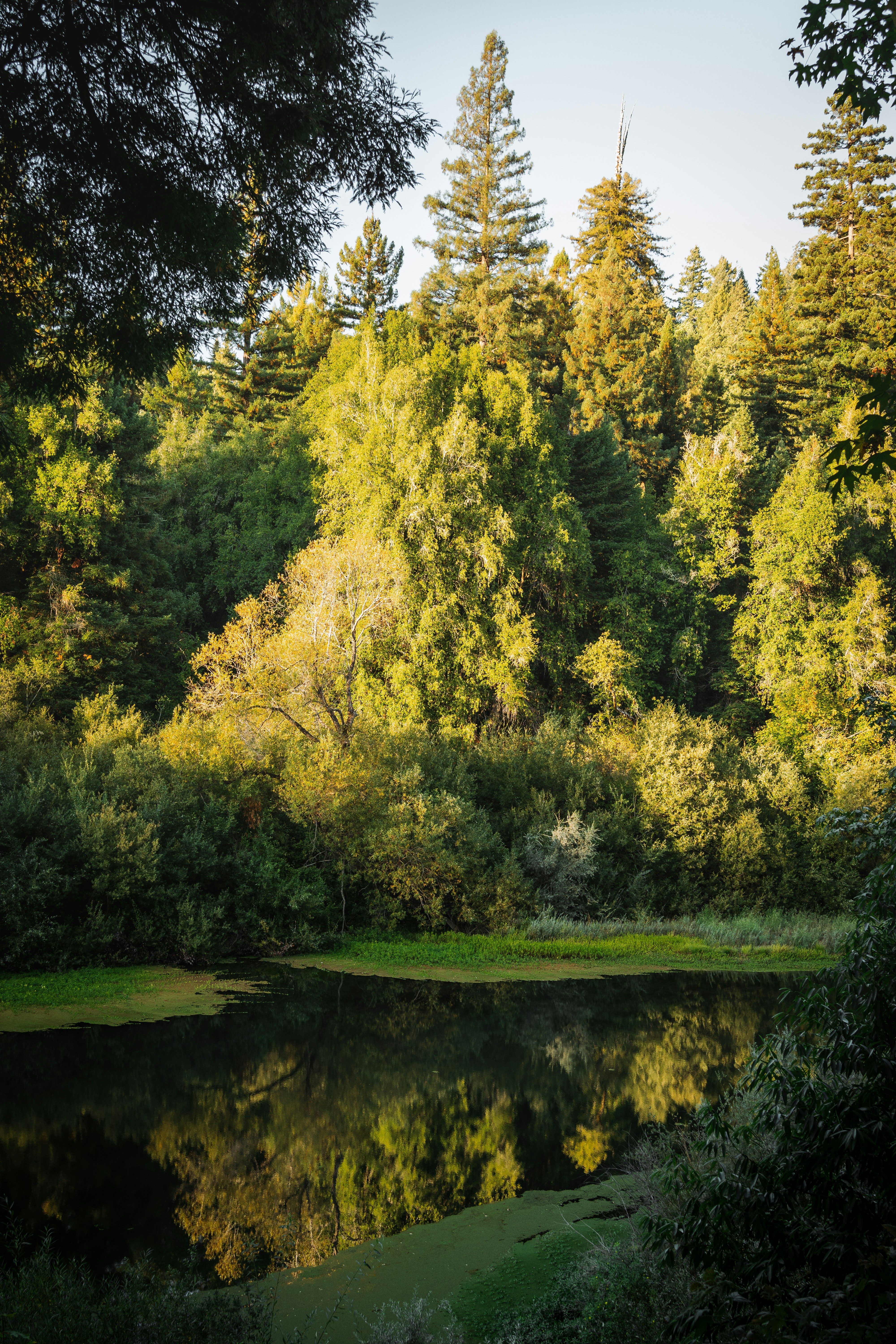 Photo by kalaniparker