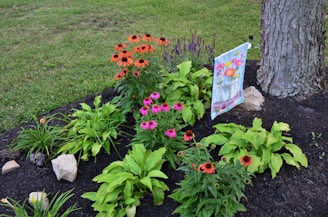 A well-maintained garden features vibrant flowers, including bright orange and pink blooms, surrounded by lush green plants. A large tree trunk is visible beside a decorative flag with floral designs, set against a backdrop of grass and rocks.