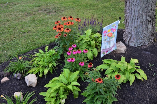 A well-maintained garden features vibrant flowers, including bright orange and pink blooms, surrounded by lush green plants. A large tree trunk is visible beside a decorative flag with floral designs, set against a backdrop of grass and rocks.