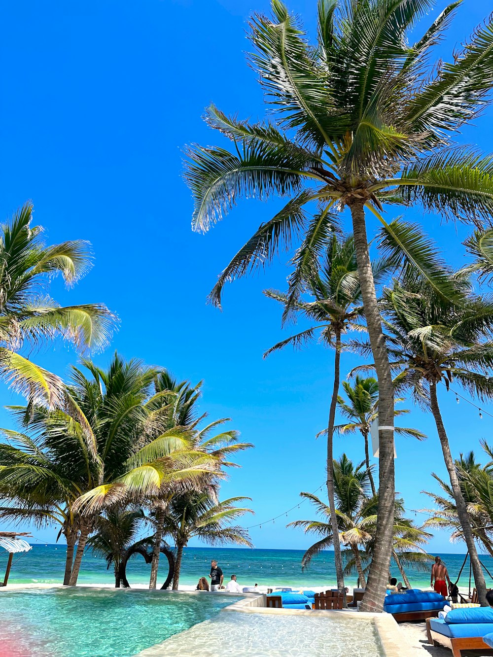 a tropical beach with palm trees and lounge chairs