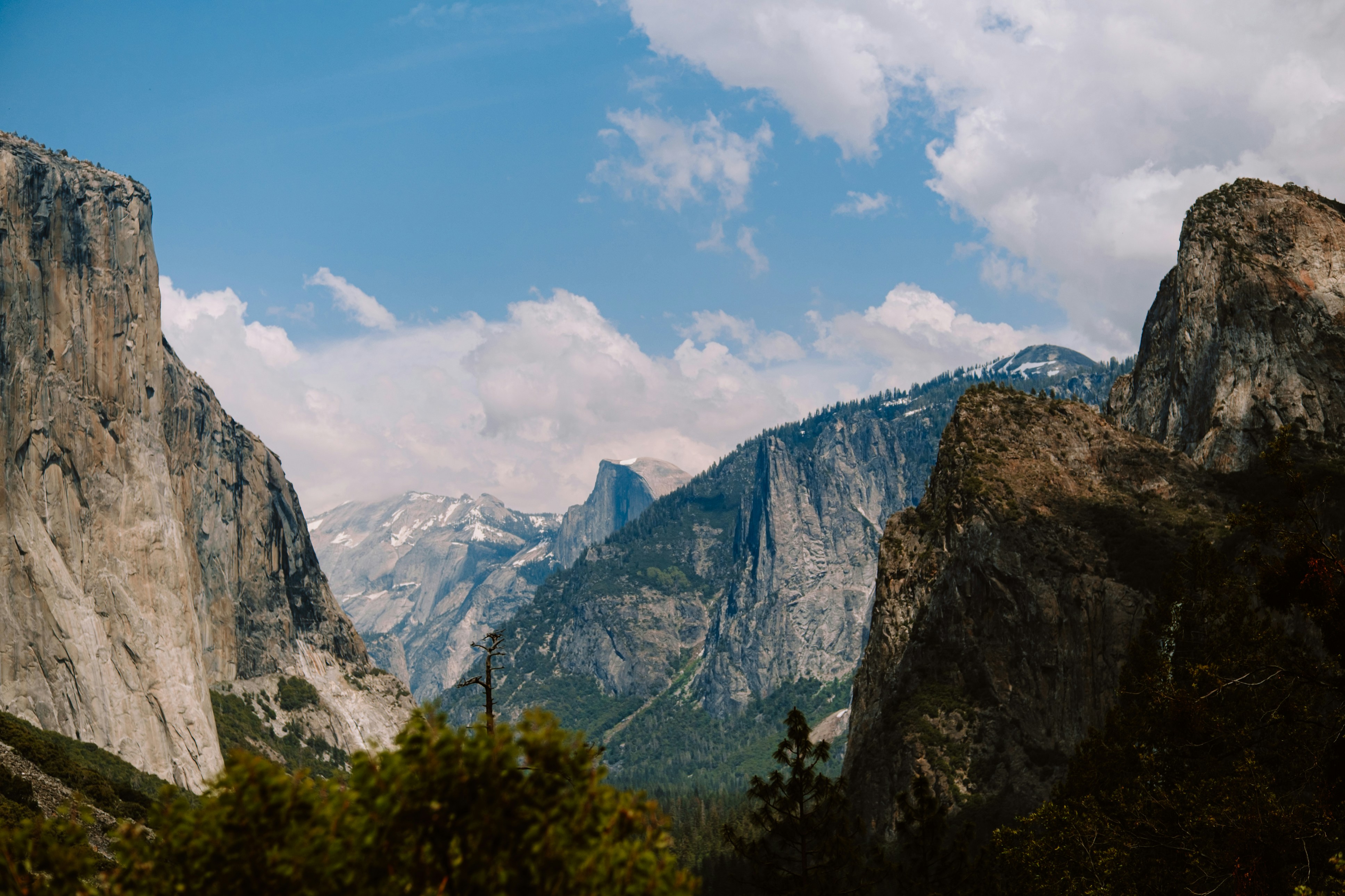 Photo by marsupialpudding