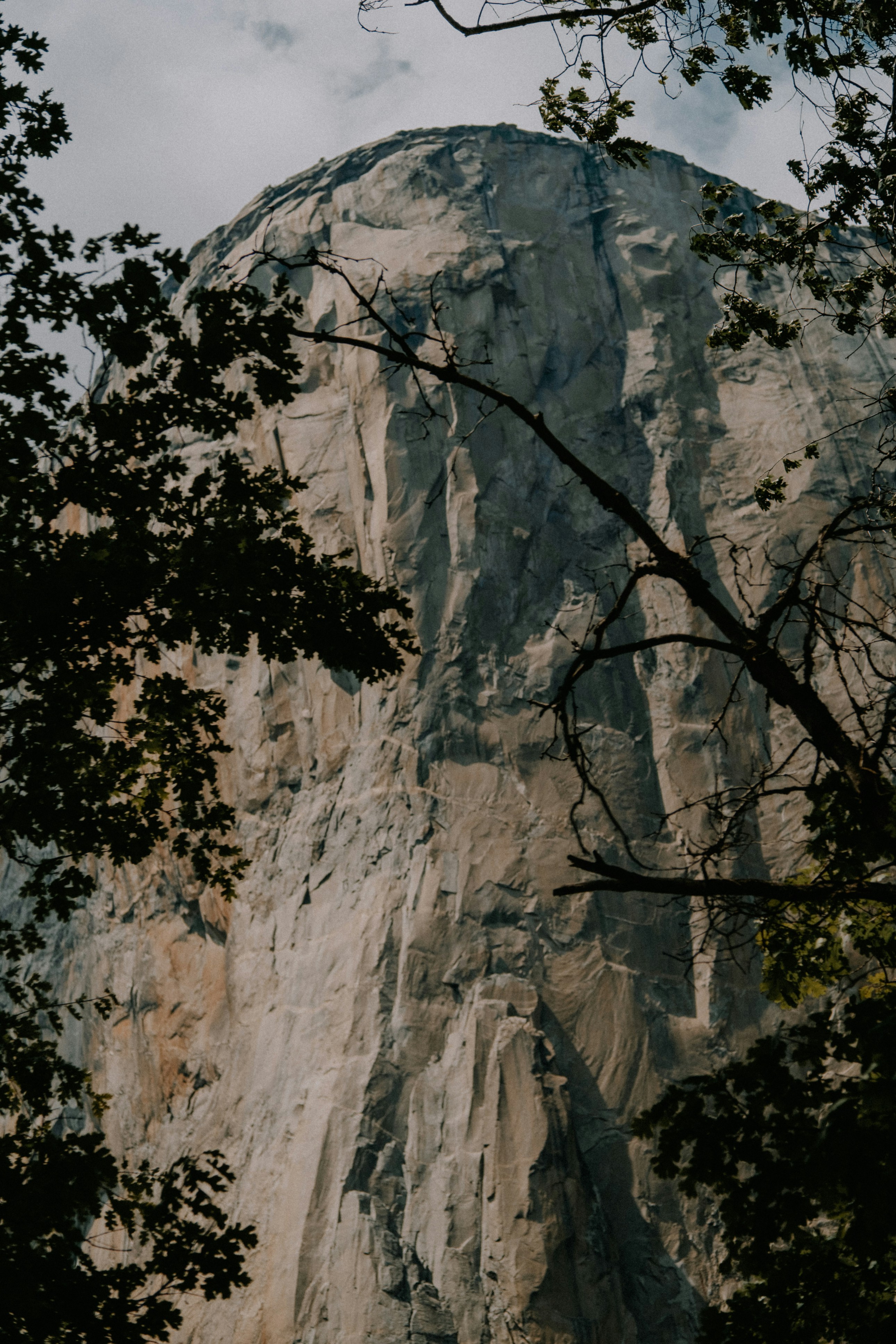 Photo by marsupialpudding