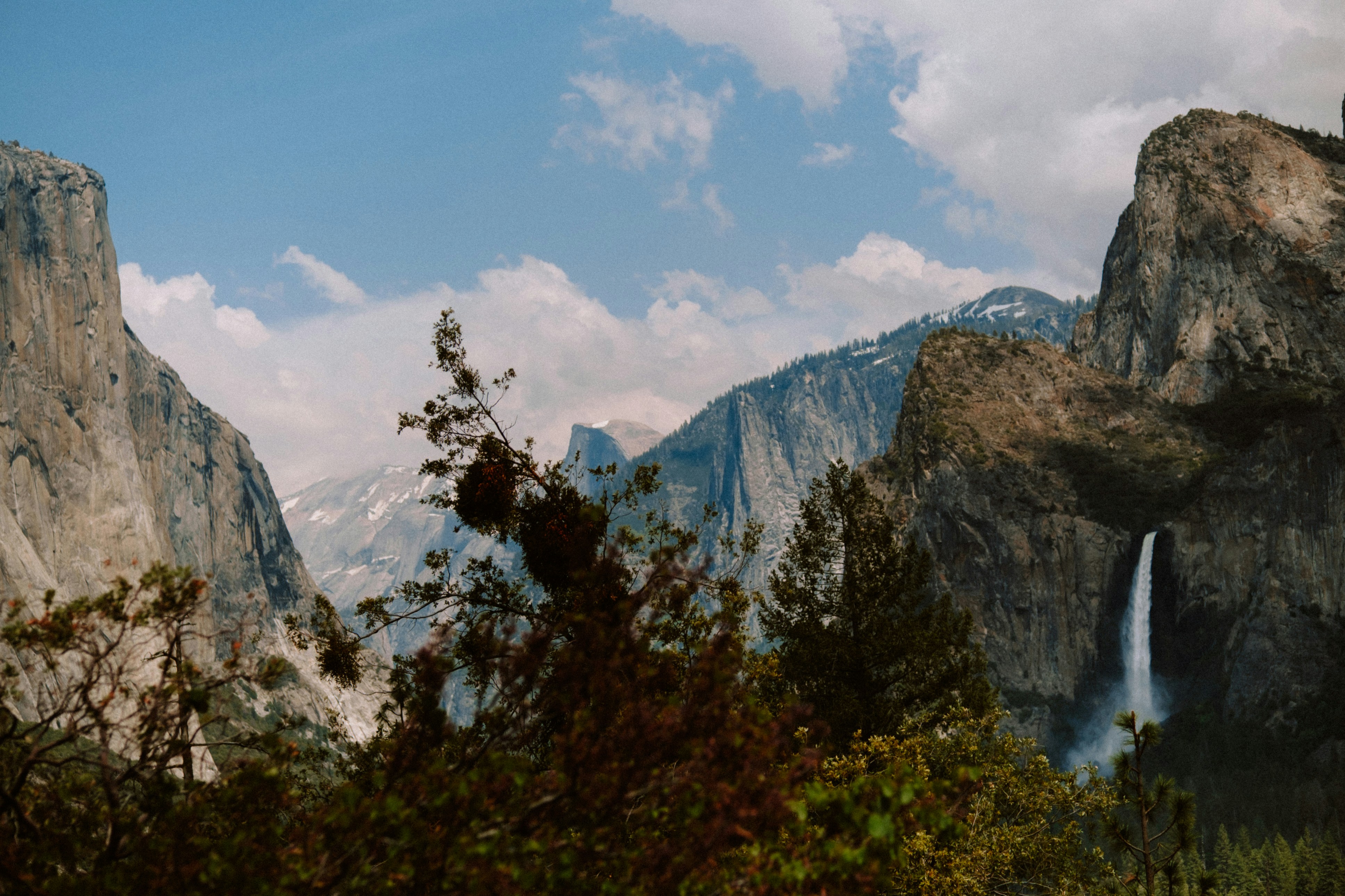 Photo by marsupialpudding