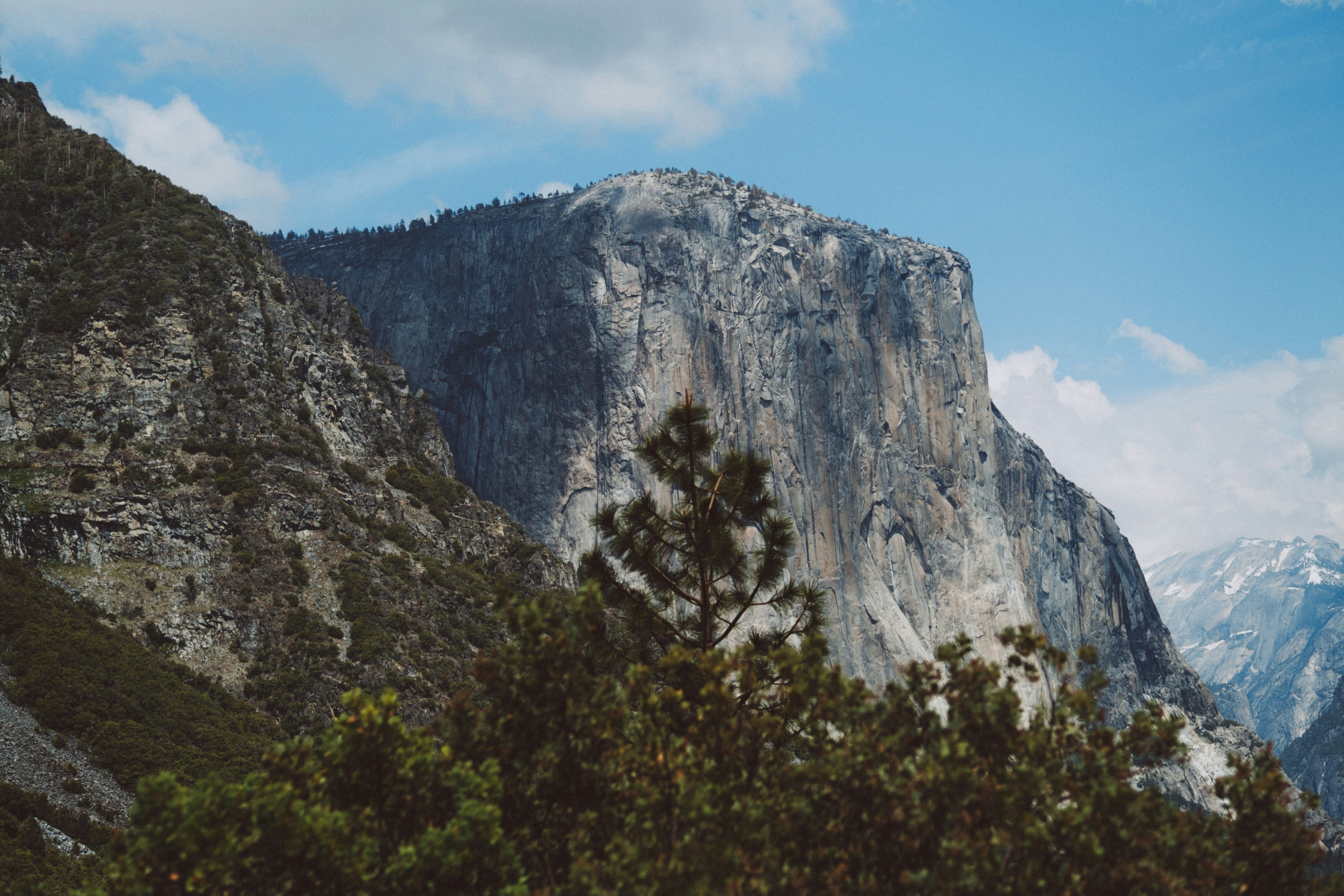 Photo by marsupialpudding