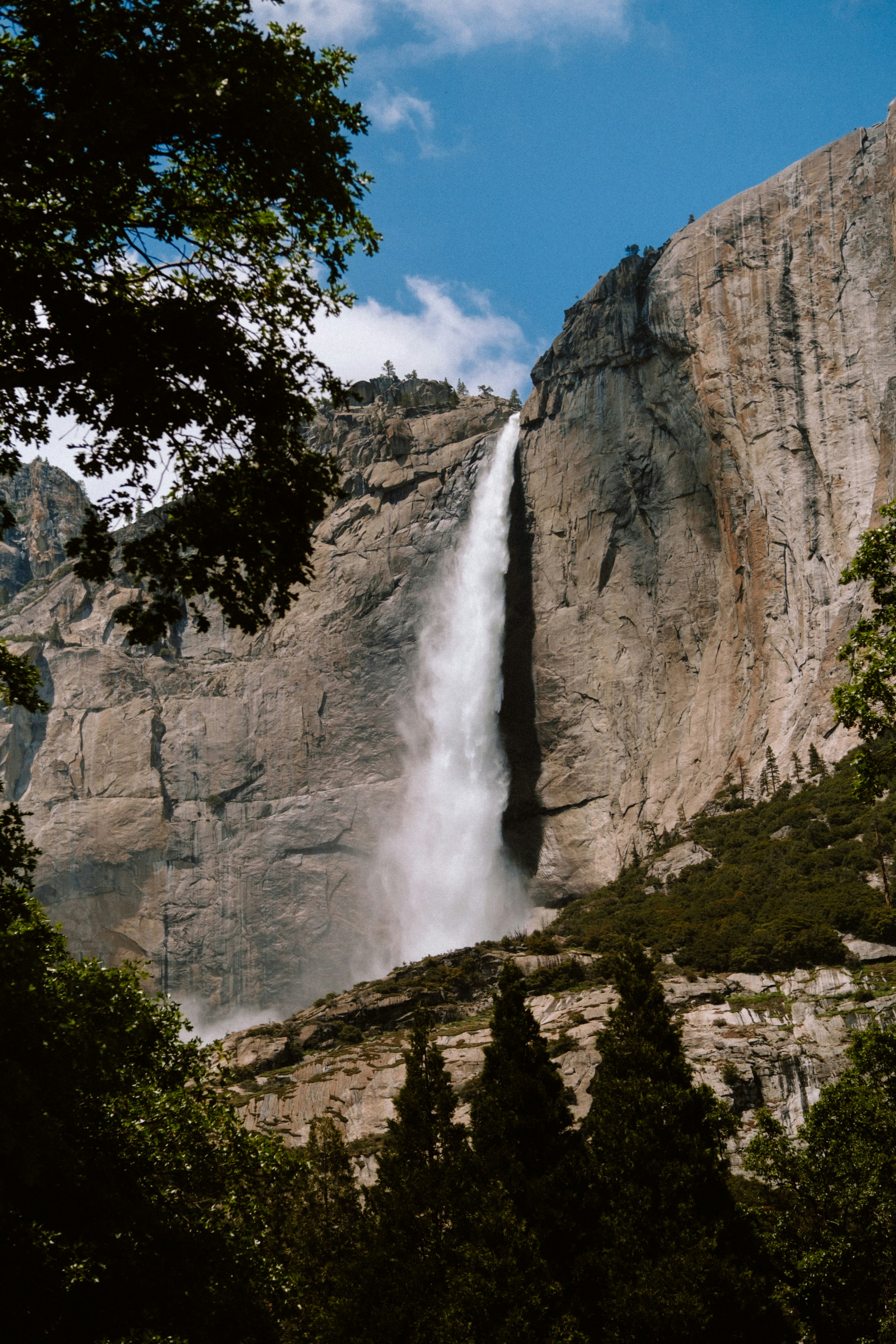 Photo by marsupialpudding