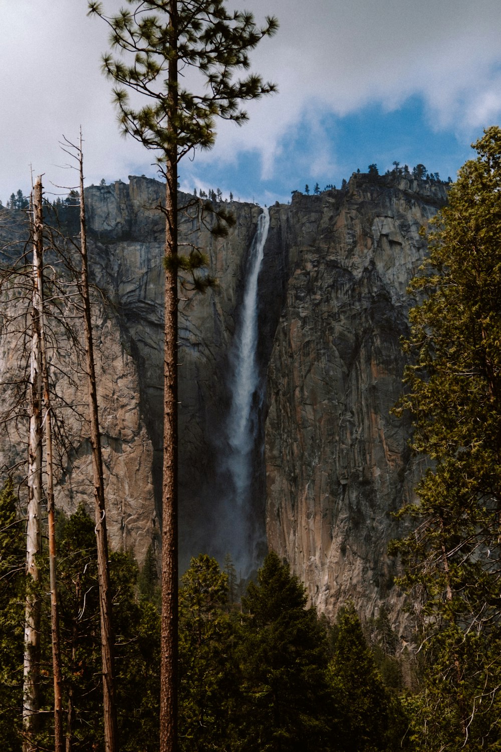 a tall waterfall towering over a forest filled with trees