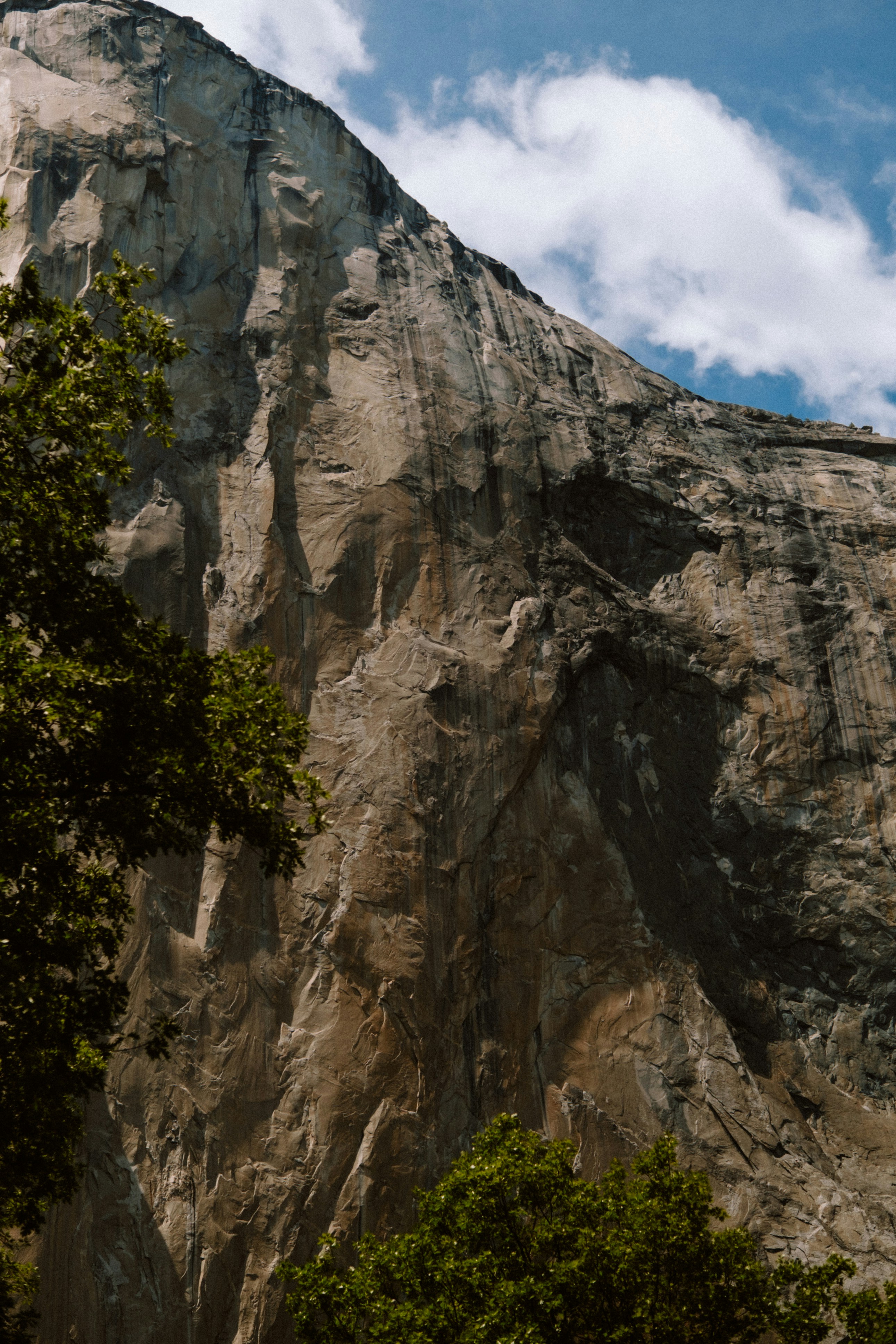 Photo by marsupialpudding