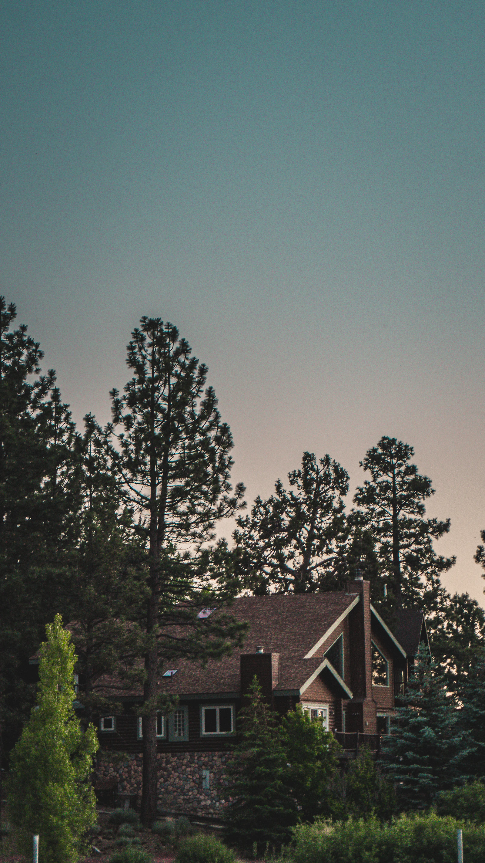 Why Bay Area Buyers Keep Moving to Nevada County California