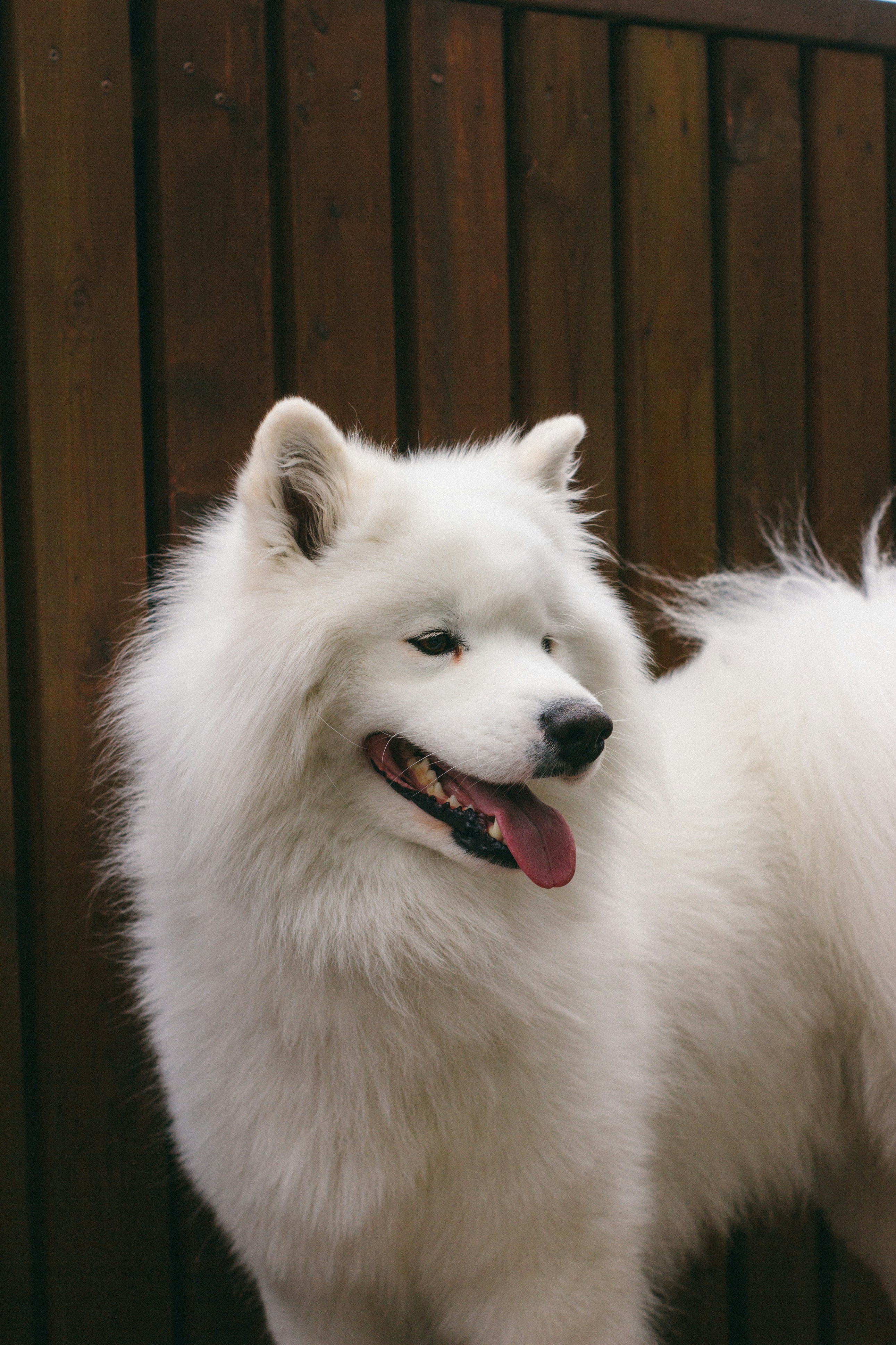 Photo by robertarnar