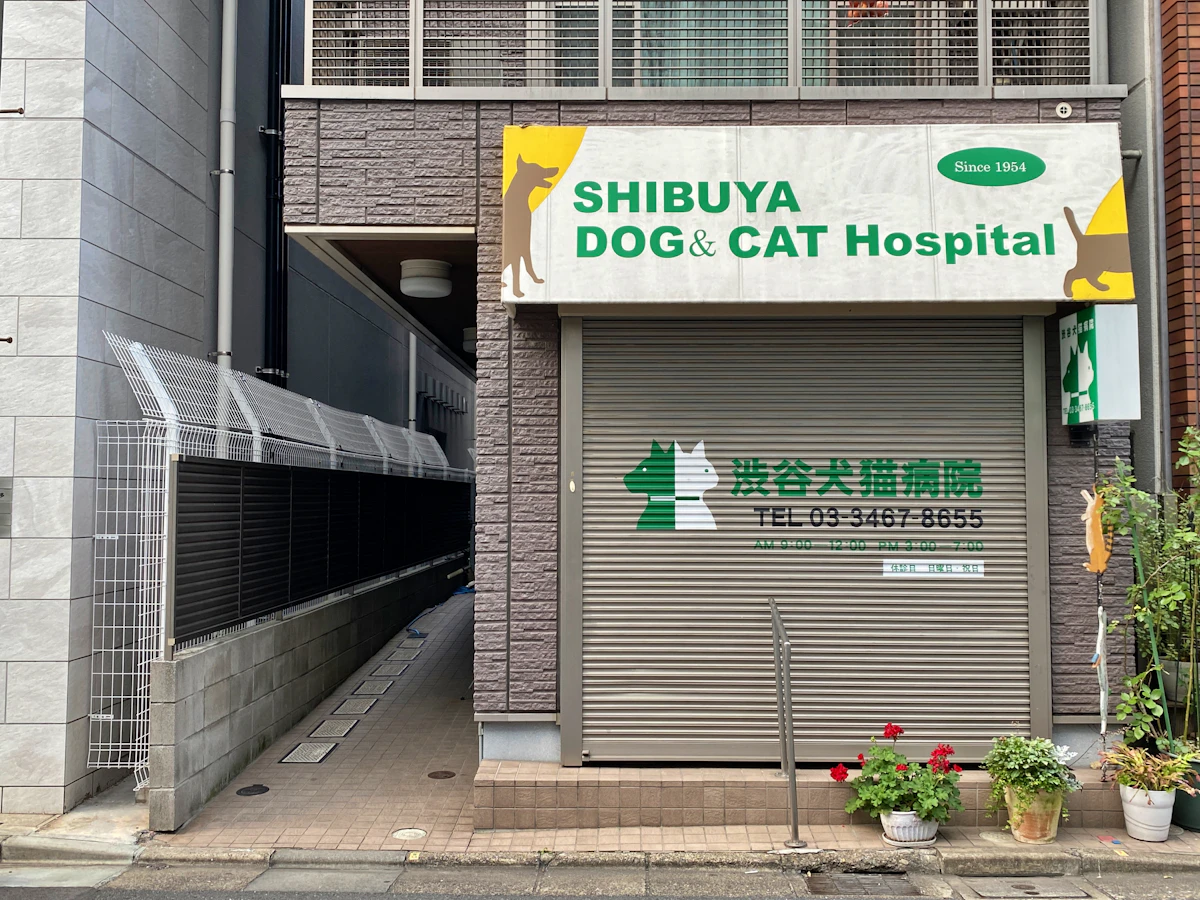 Veterinary Scheduling Software Cost: 5 Tiers in 2026