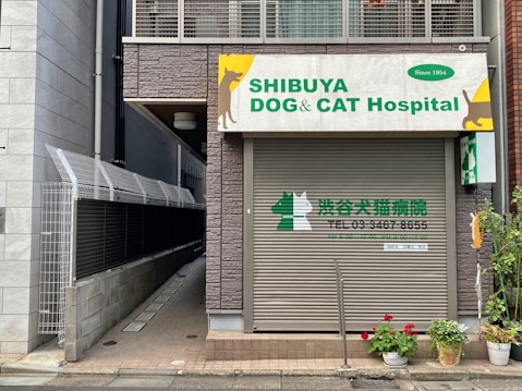 A storefront labeled 'Shibuya Dog & Cat Hospital' with a closed metal shutter. The sign includes silhouettes of a dog and cat, and the contact information in English and Japanese. Potted plants and flowers are placed on the sidewalk nearby. The building exterior is constructed of stone-like material with adjoining modern fences.