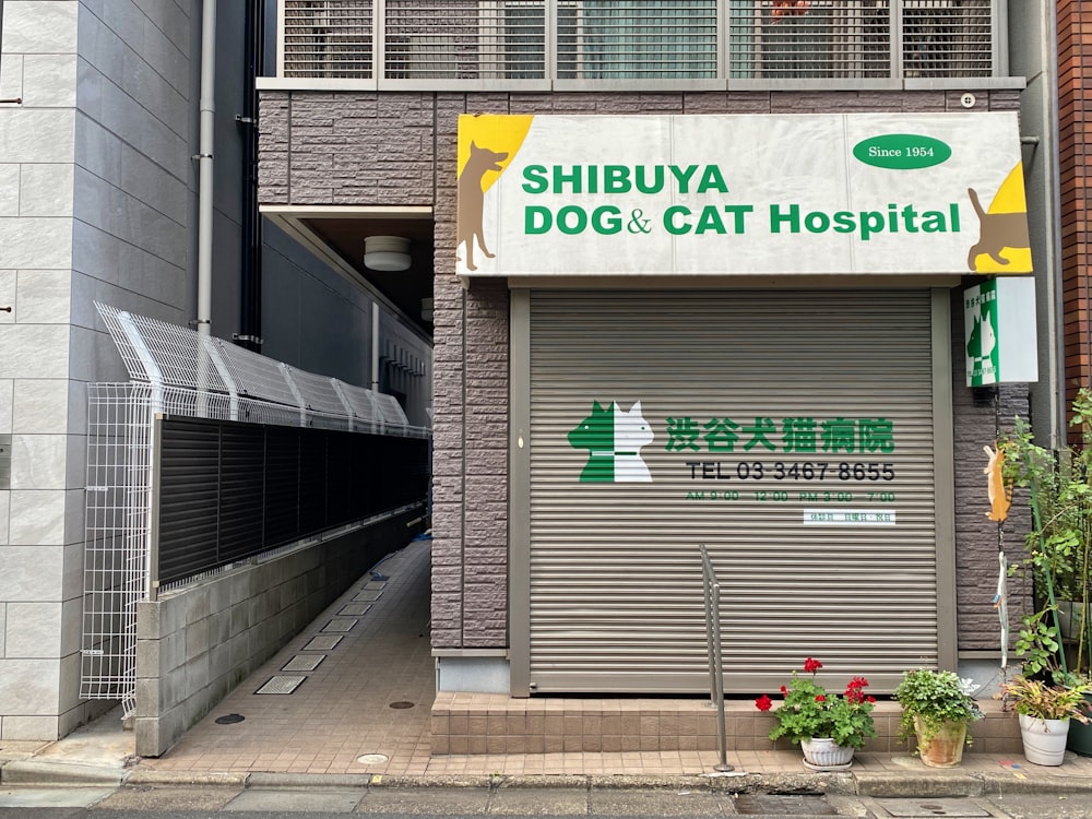 아시아 도시의 개와 고양이 병원
