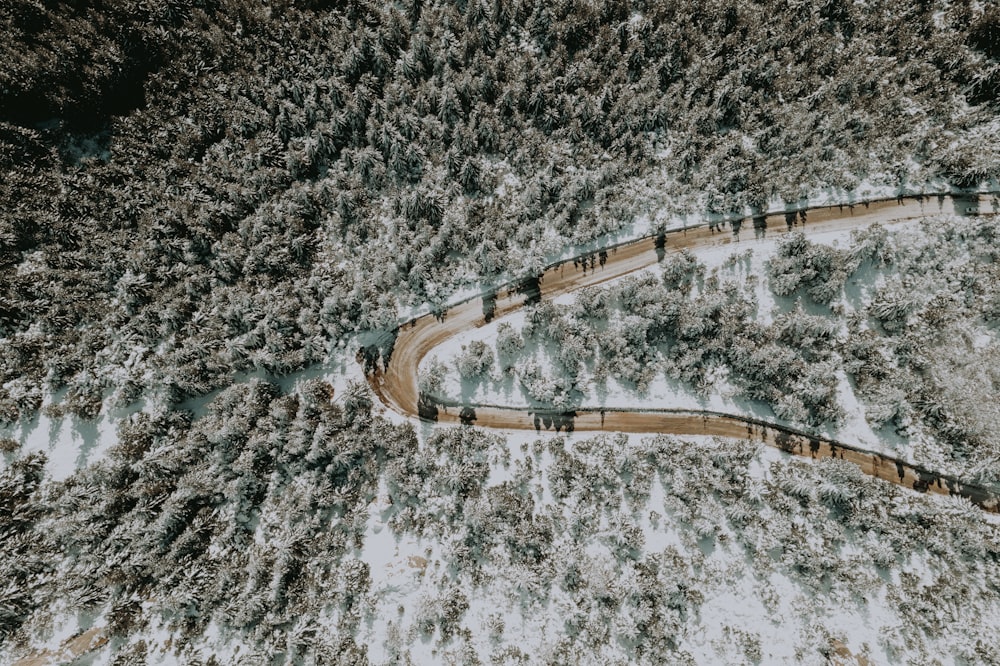 a winding road in the middle of a snow covered forest