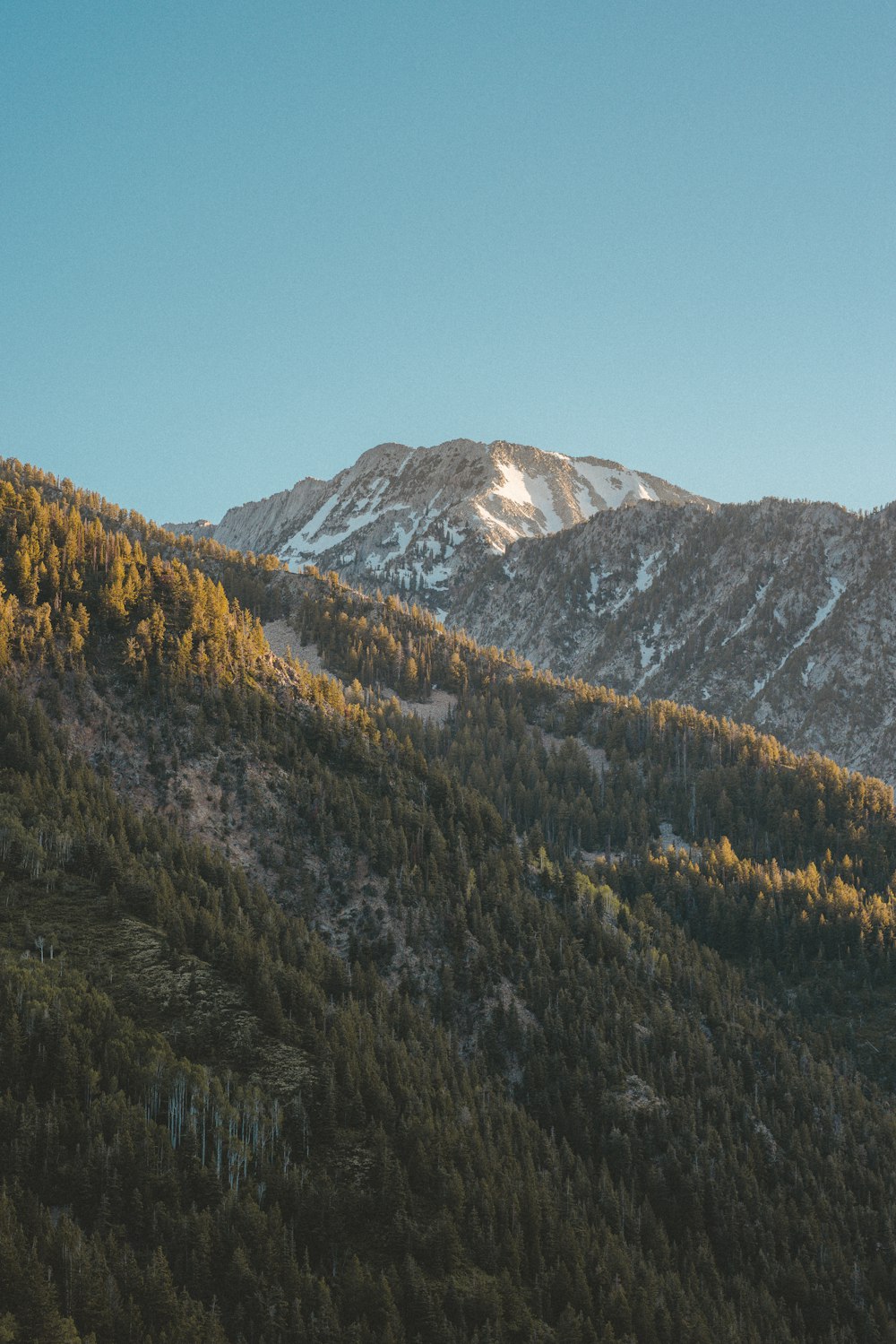 a view of a mountain range with trees in the foreground