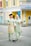 A joyful couple walking hand in hand, dressed in matching traditional attire. The woman holds a bouquet of flowers, and both individuals are smiling warmly, conveying a sense of happiness. The background features colorful buildings with a mix of yellow, blue, and white facades.