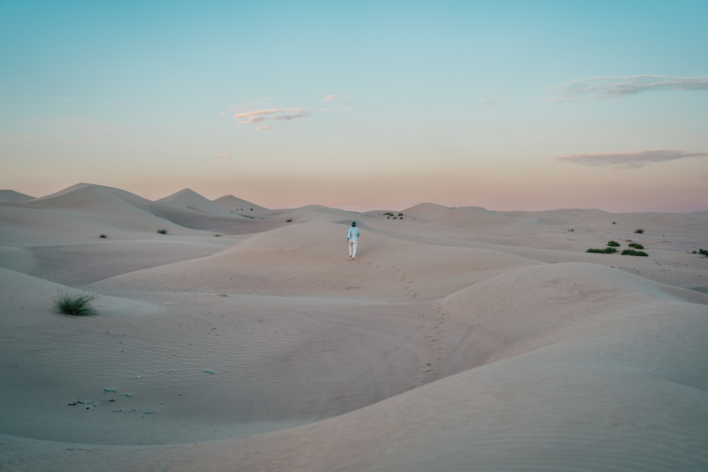 a person standing in the middle of a desert