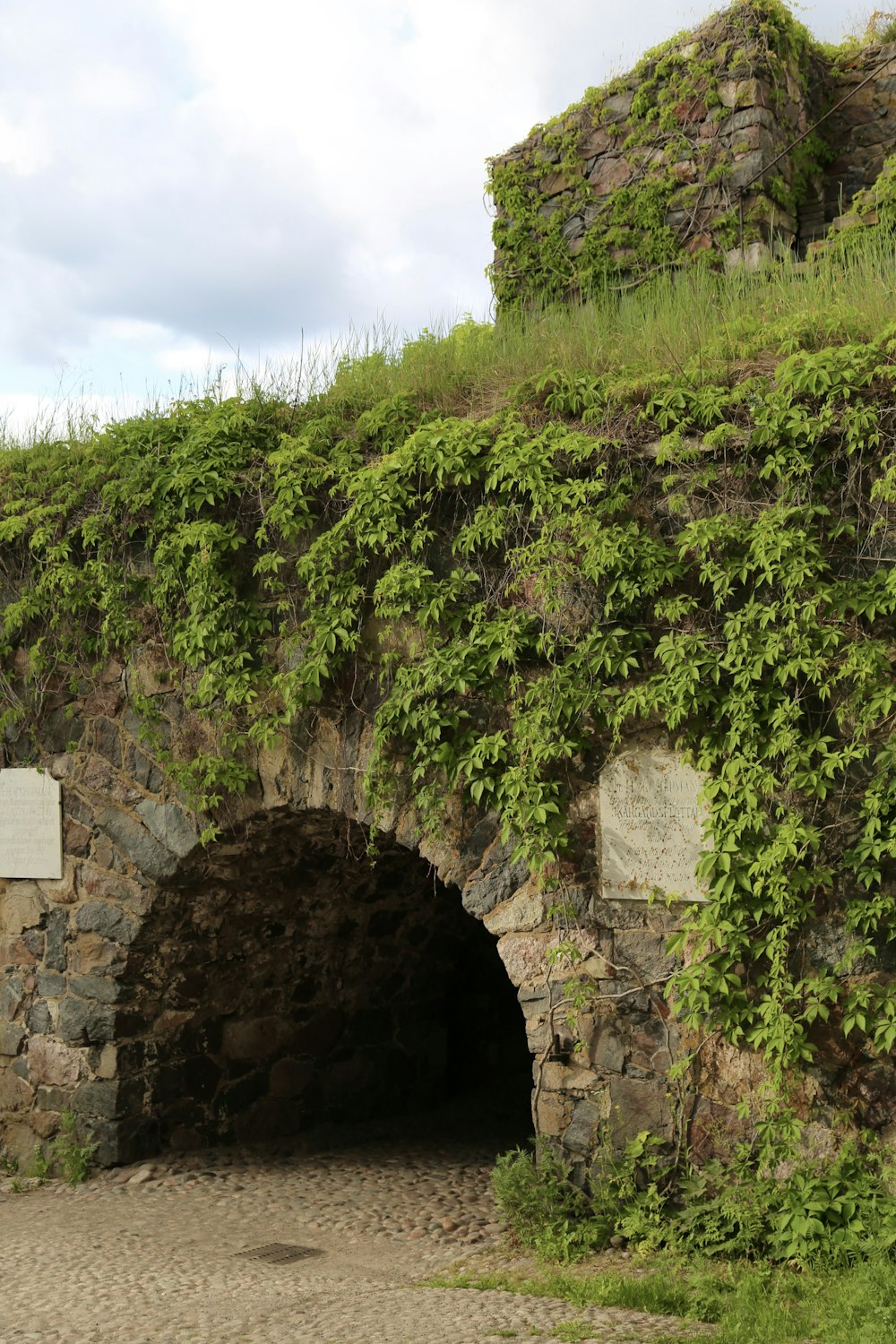a stone tunnel with vines growing over it