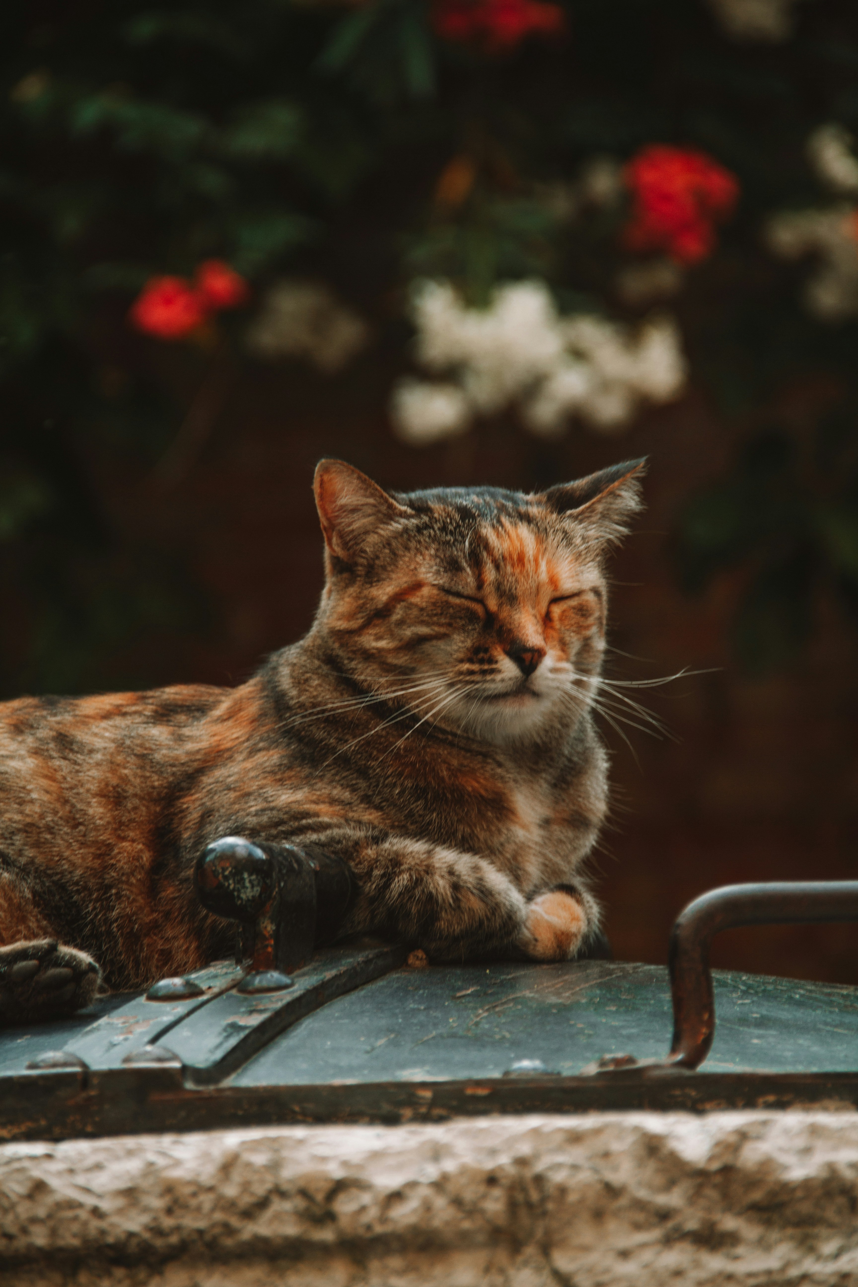 Photo by ingridmartinussen