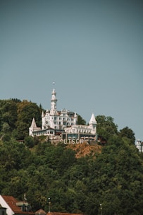 A grand castle-like building with multiple turrets and spires sits atop a lush, forested hill. The structure is predominantly white with a mixture of architectural features ranging from pointed roofs to intricate balconies. Below the building, the large letters spell 'UTSCH', prominently displayed on the hillside.