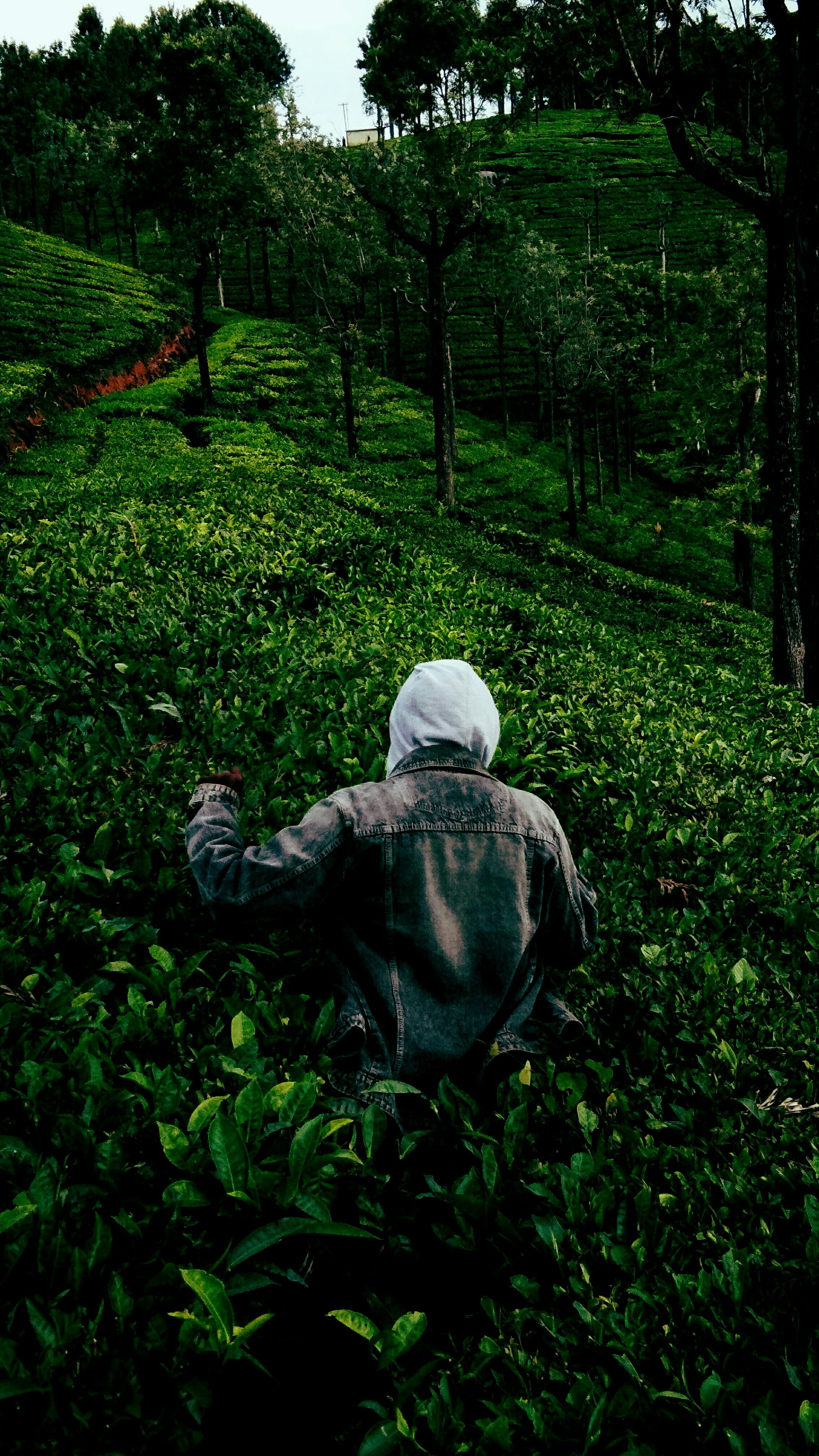 Photo by mj_adesh