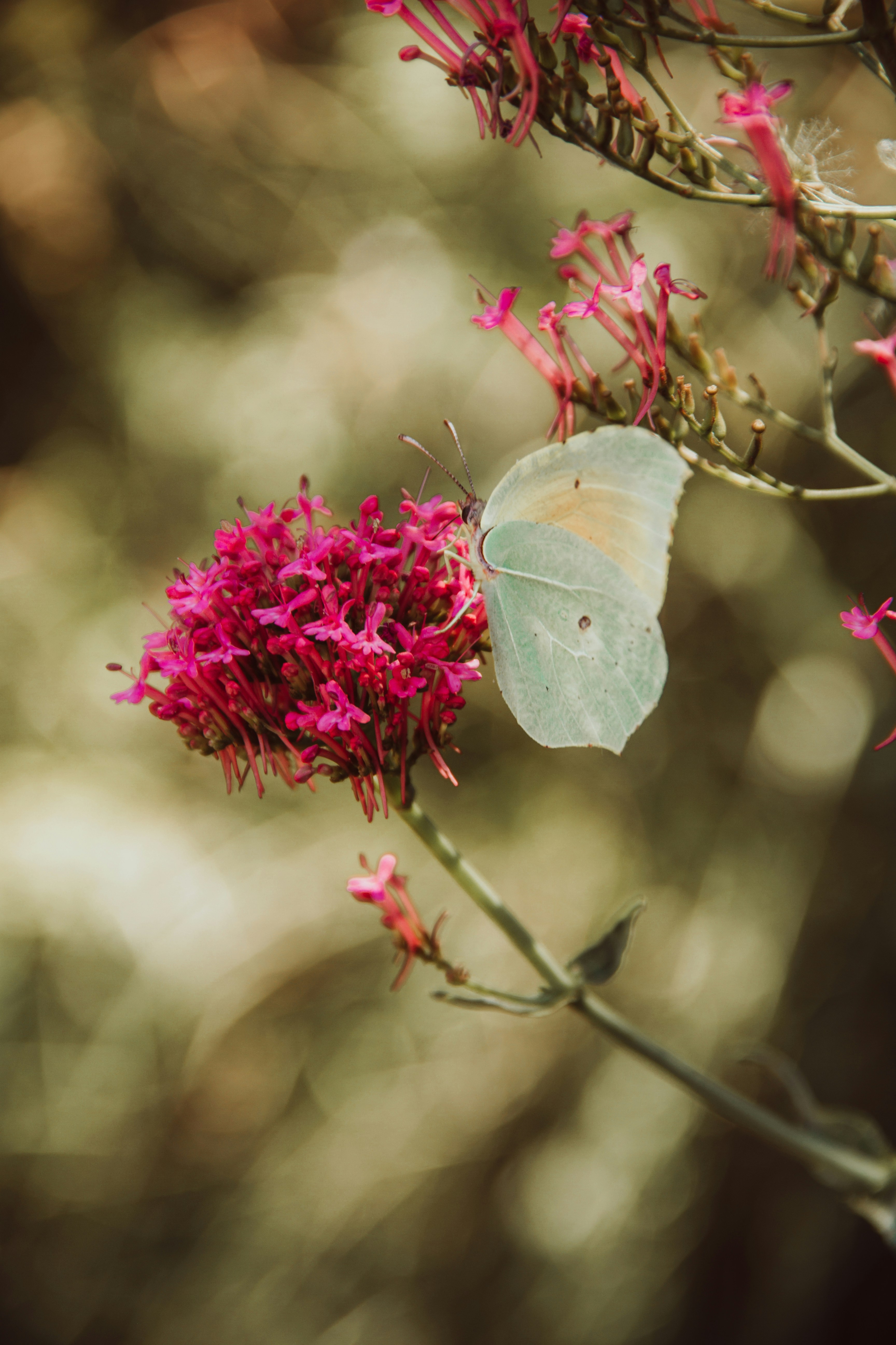Photo by ingridmartinussen