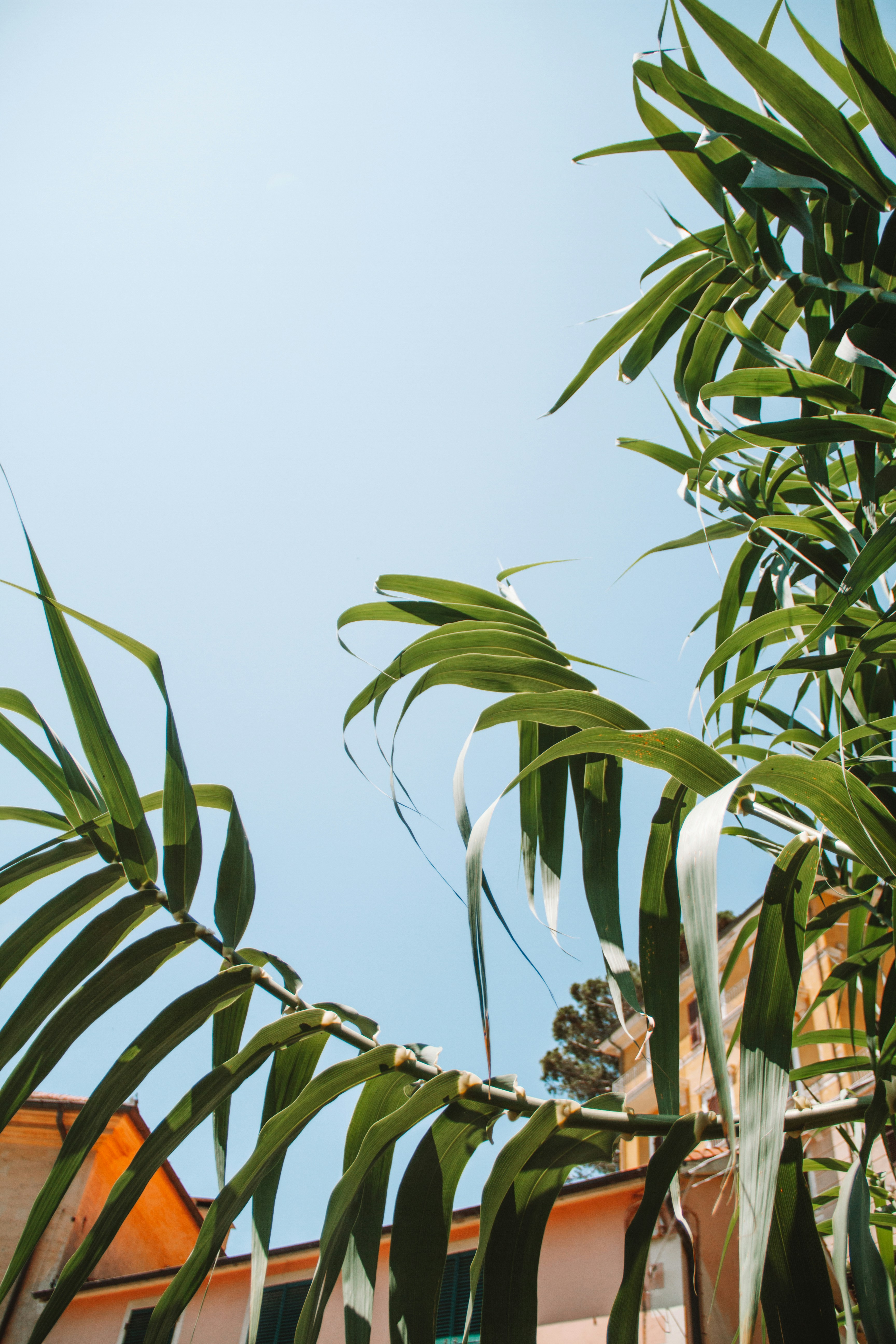 Photo by ingridmartinussen