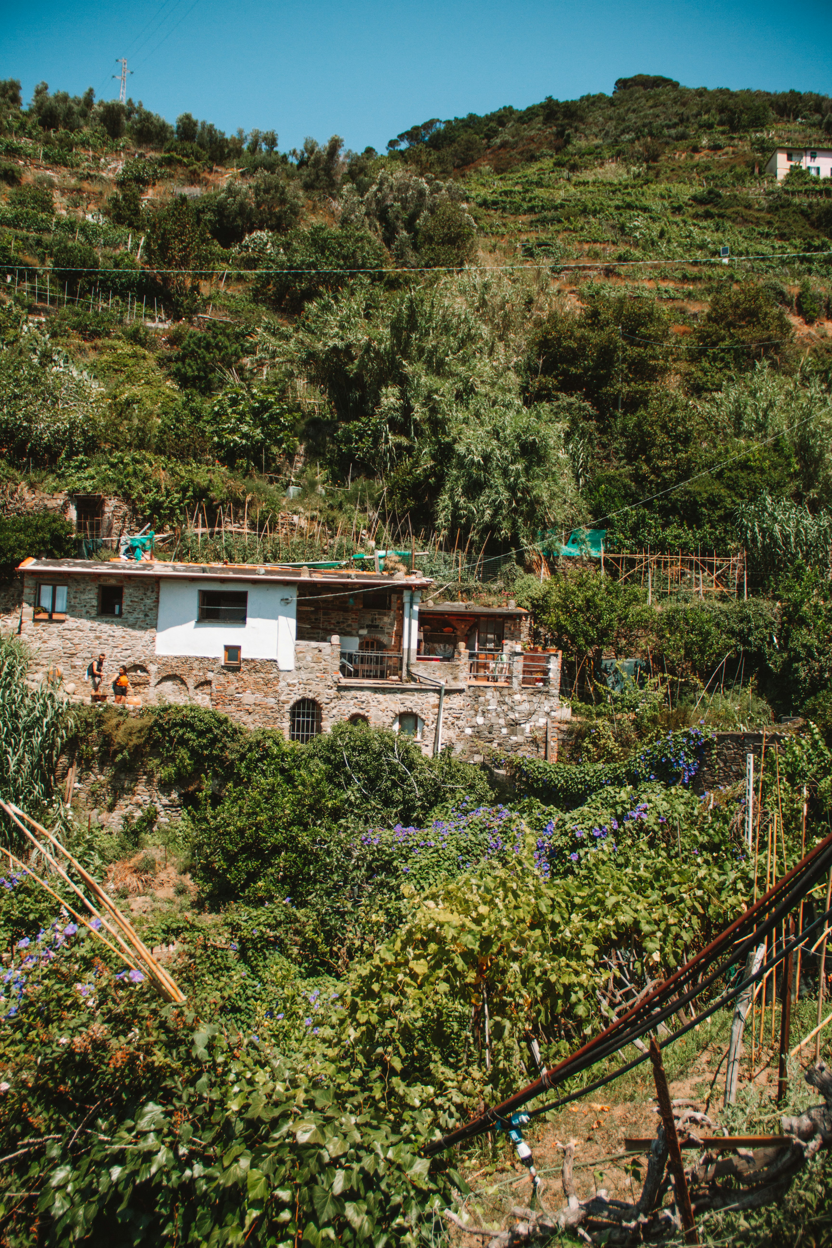 Photo by ingridmartinussen