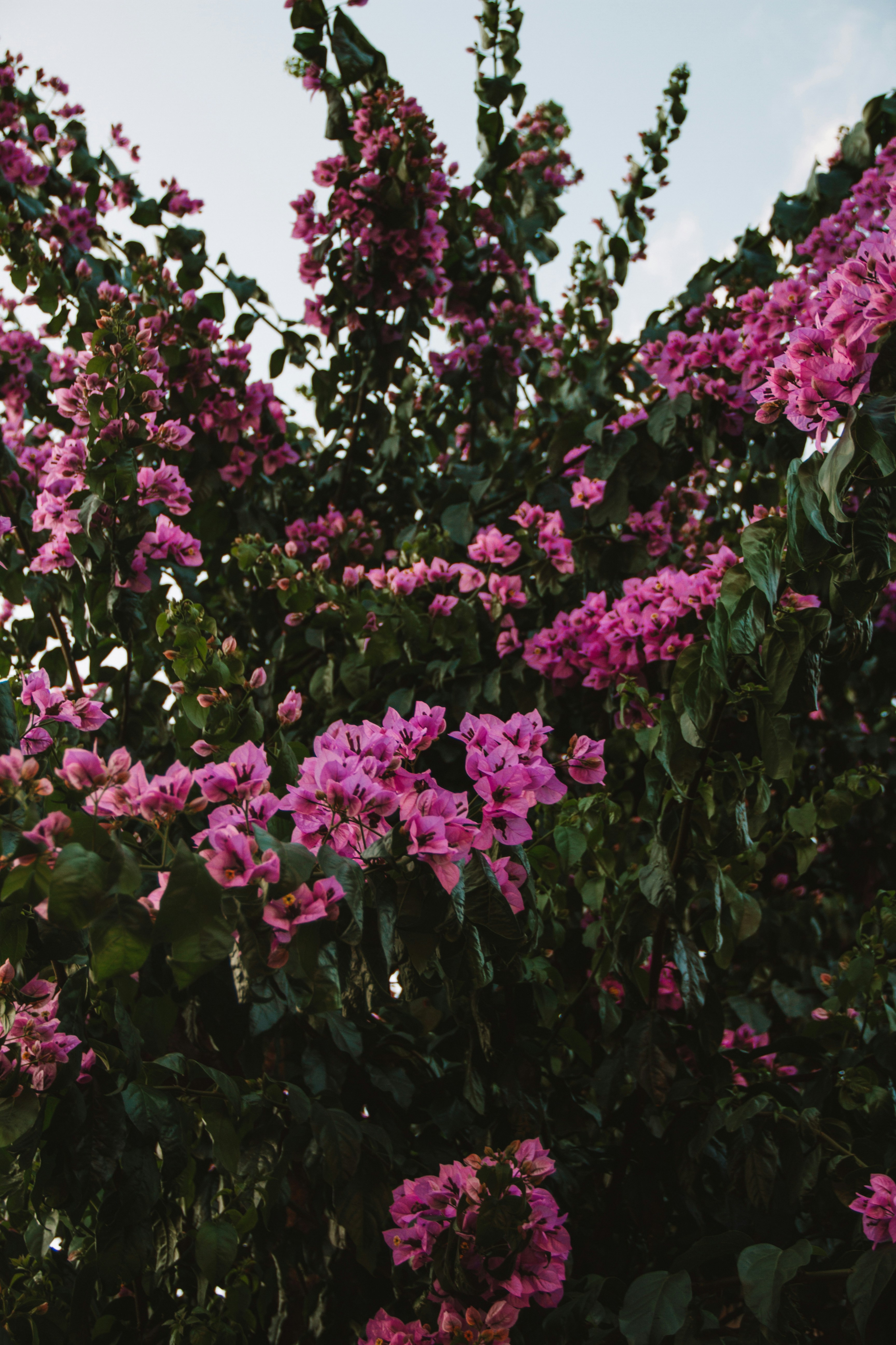 Photo by ingridmartinussen