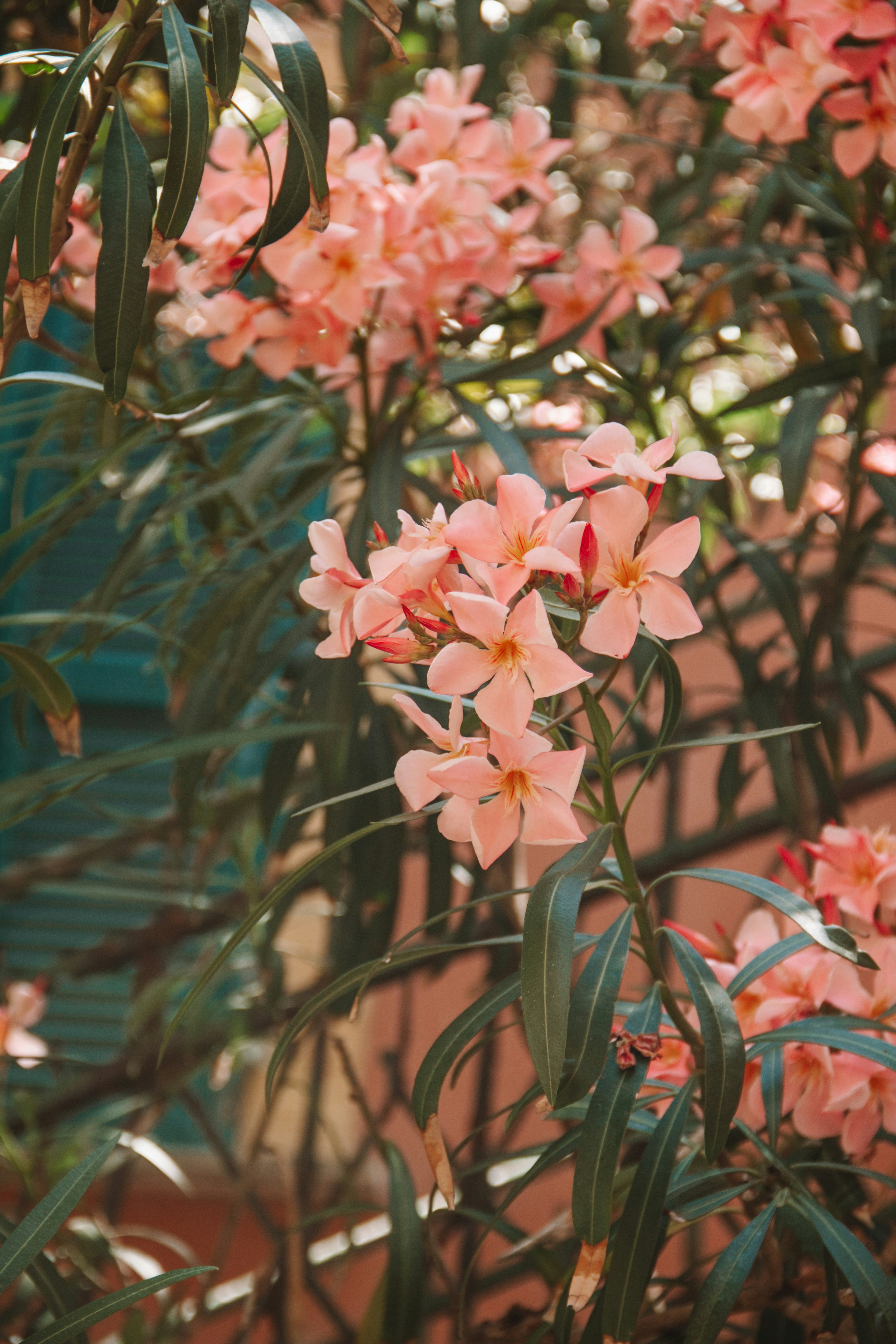 Photo by ingridmartinussen