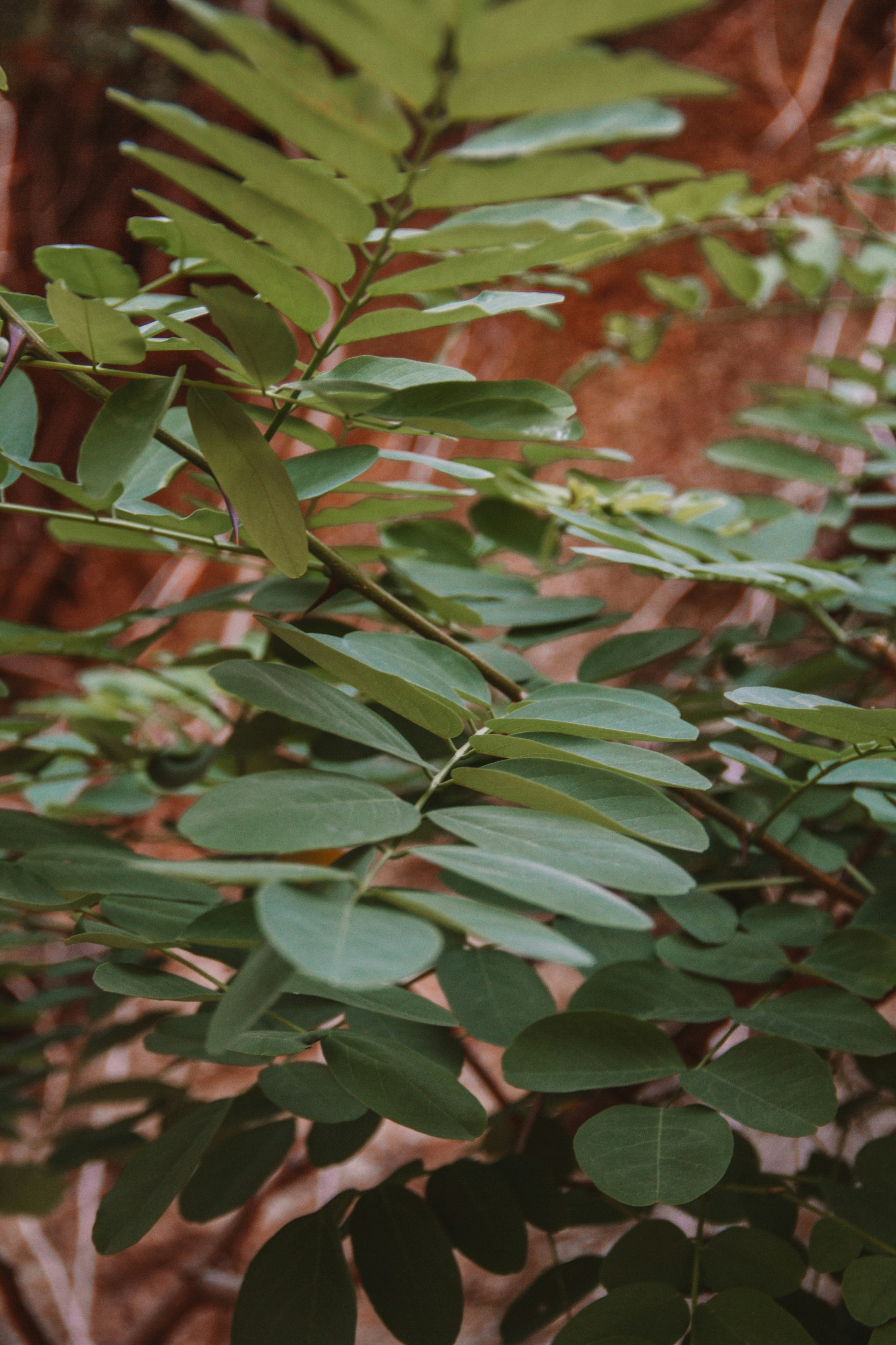 Photo by ingridmartinussen