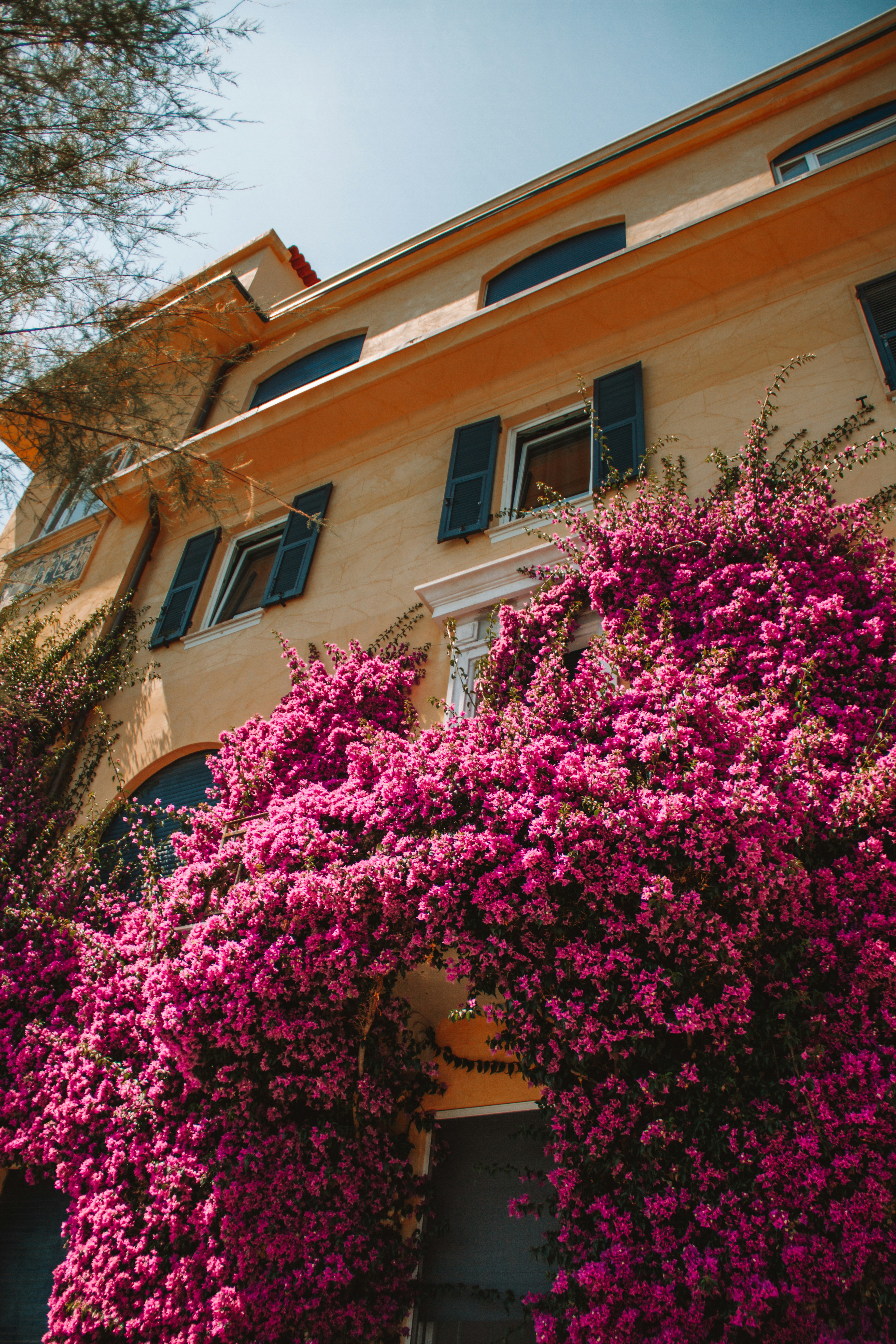 Photo by ingridmartinussen