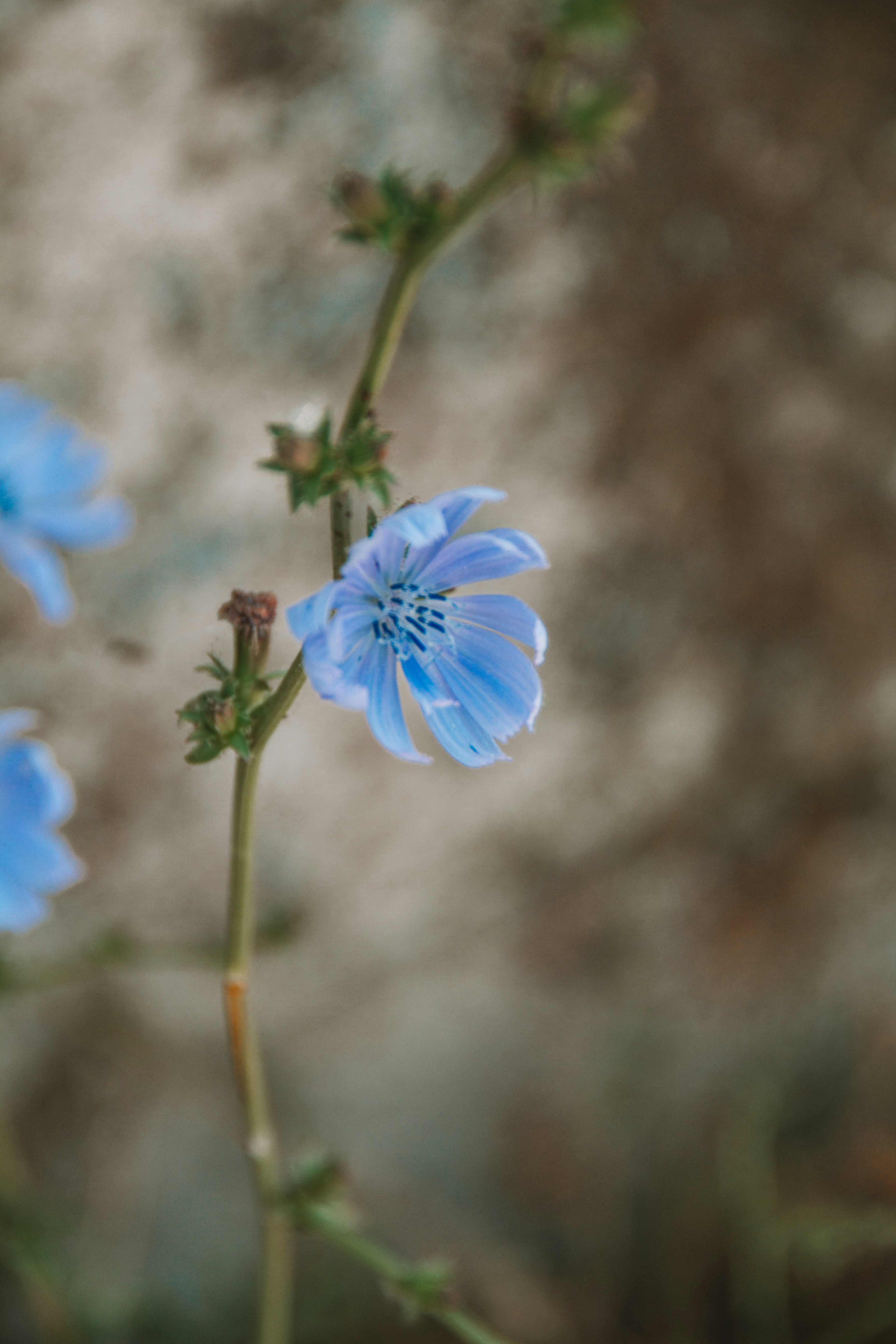 Photo by ingridmartinussen