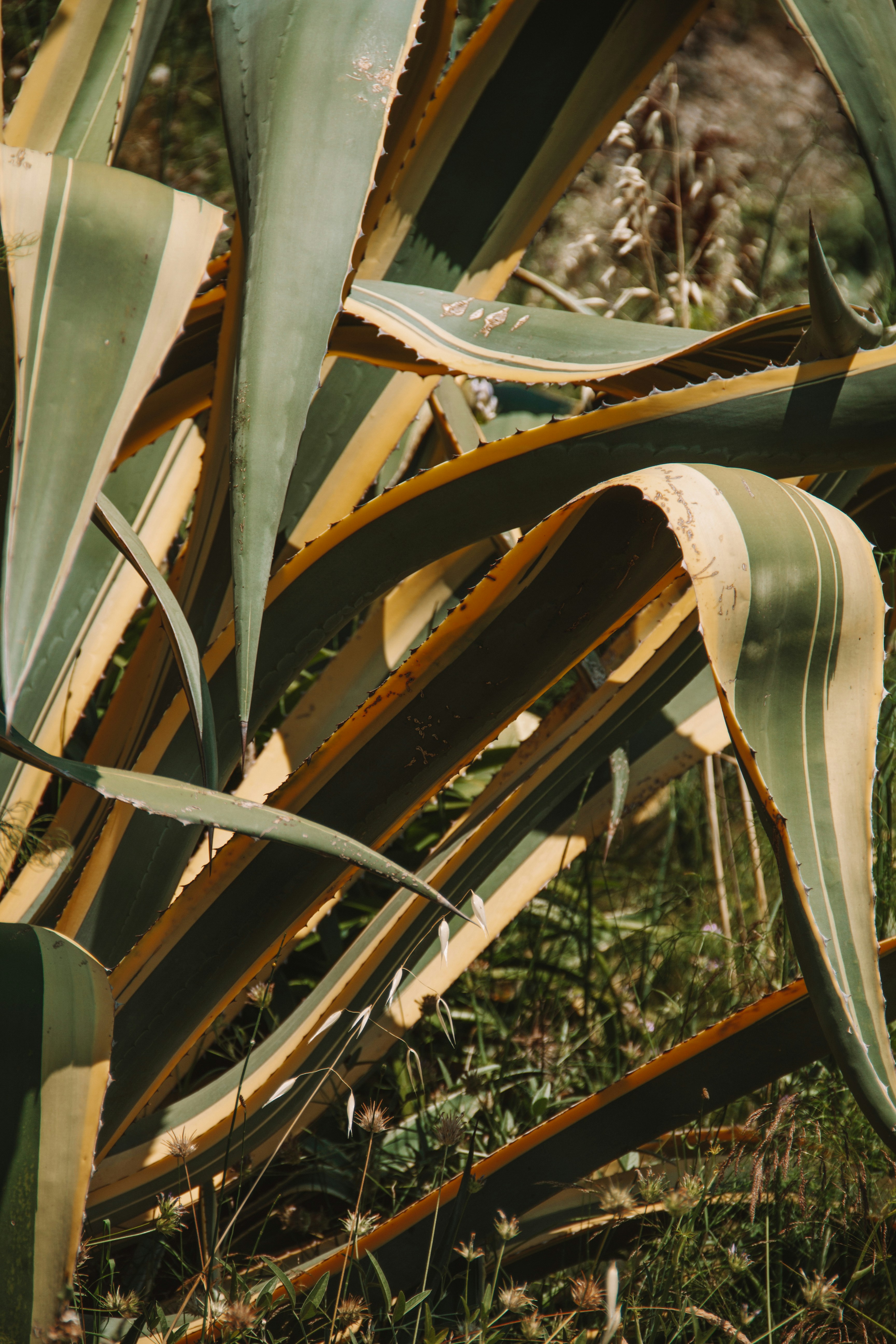 Photo by ingridmartinussen