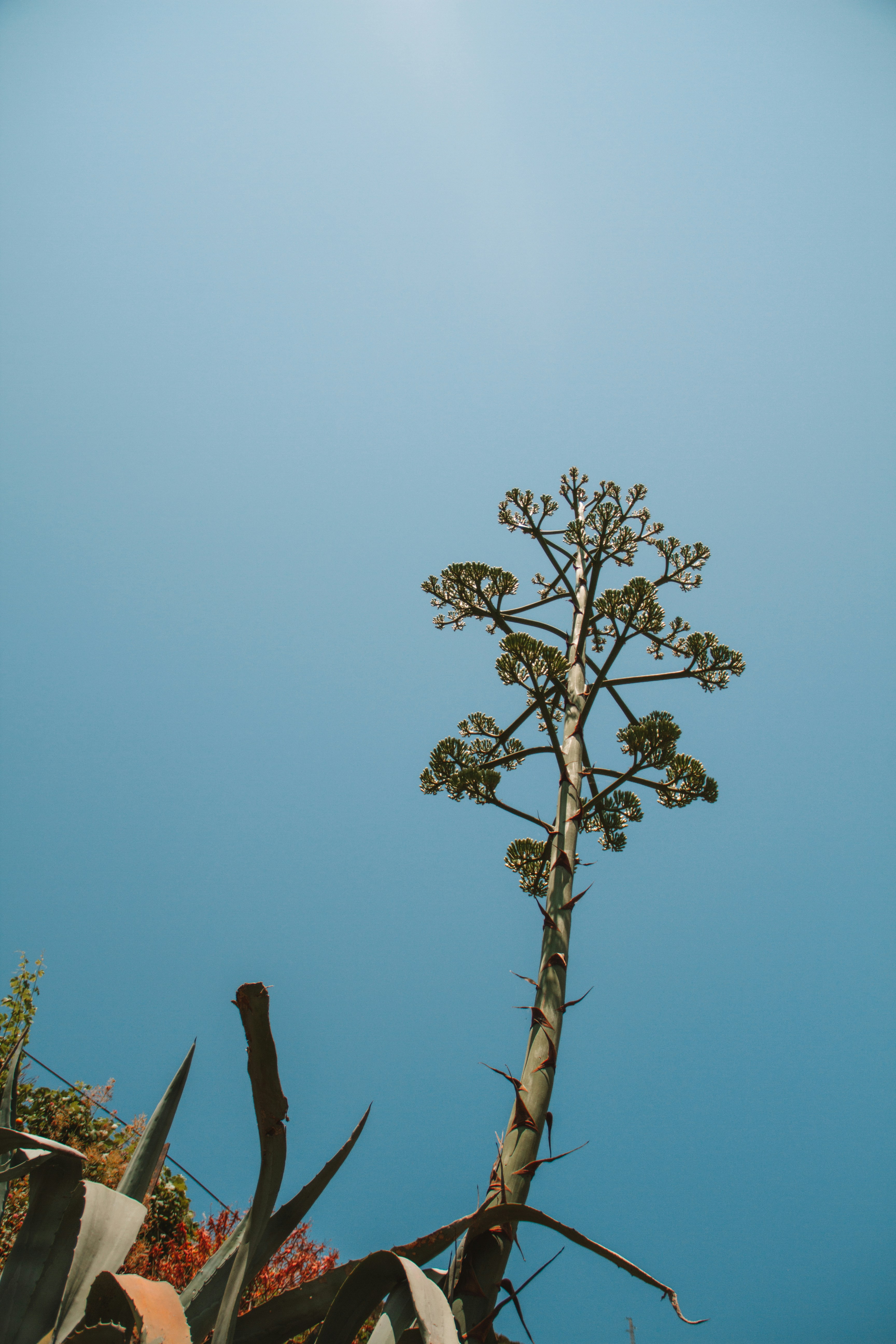 Photo by ingridmartinussen