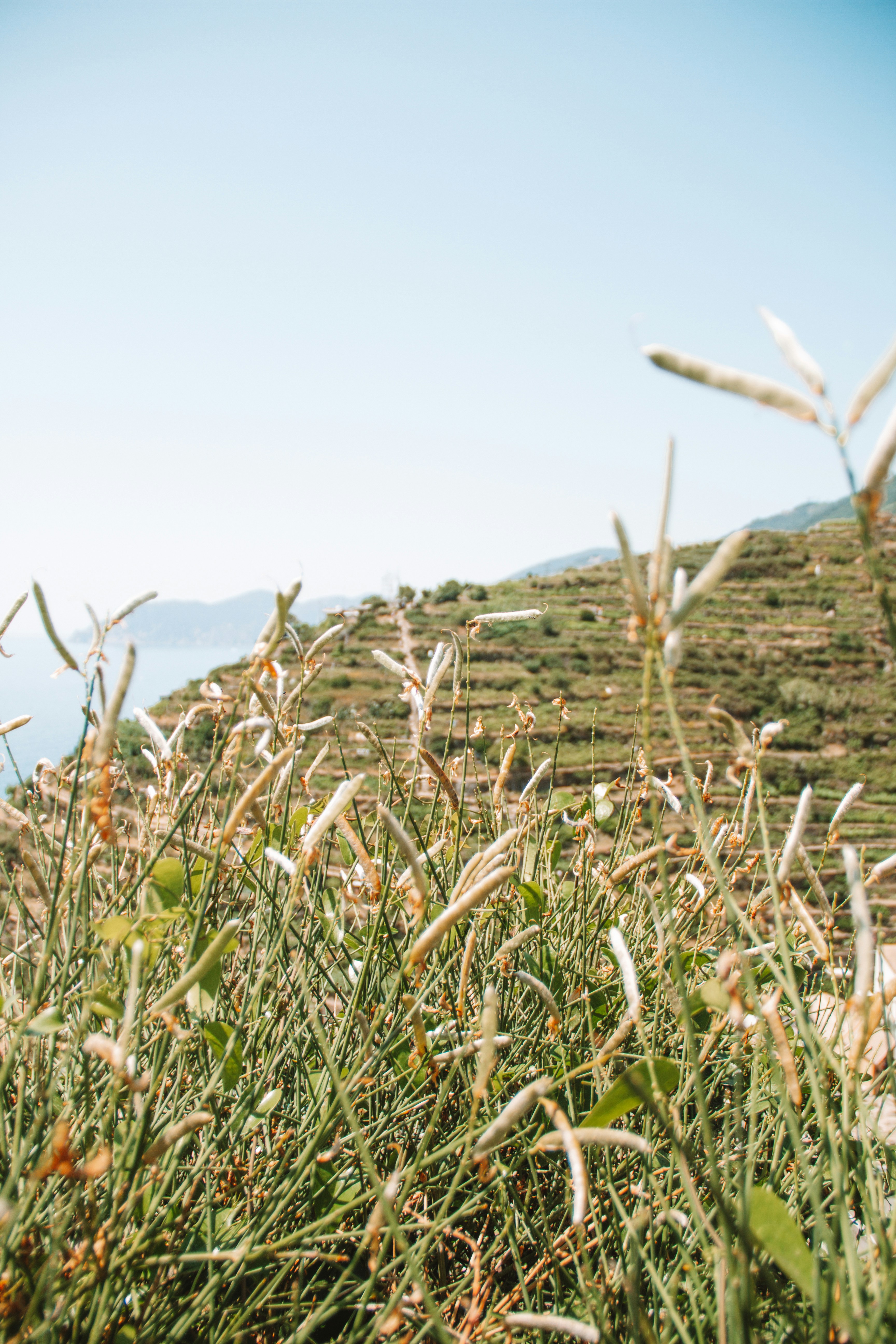 Photo by ingridmartinussen