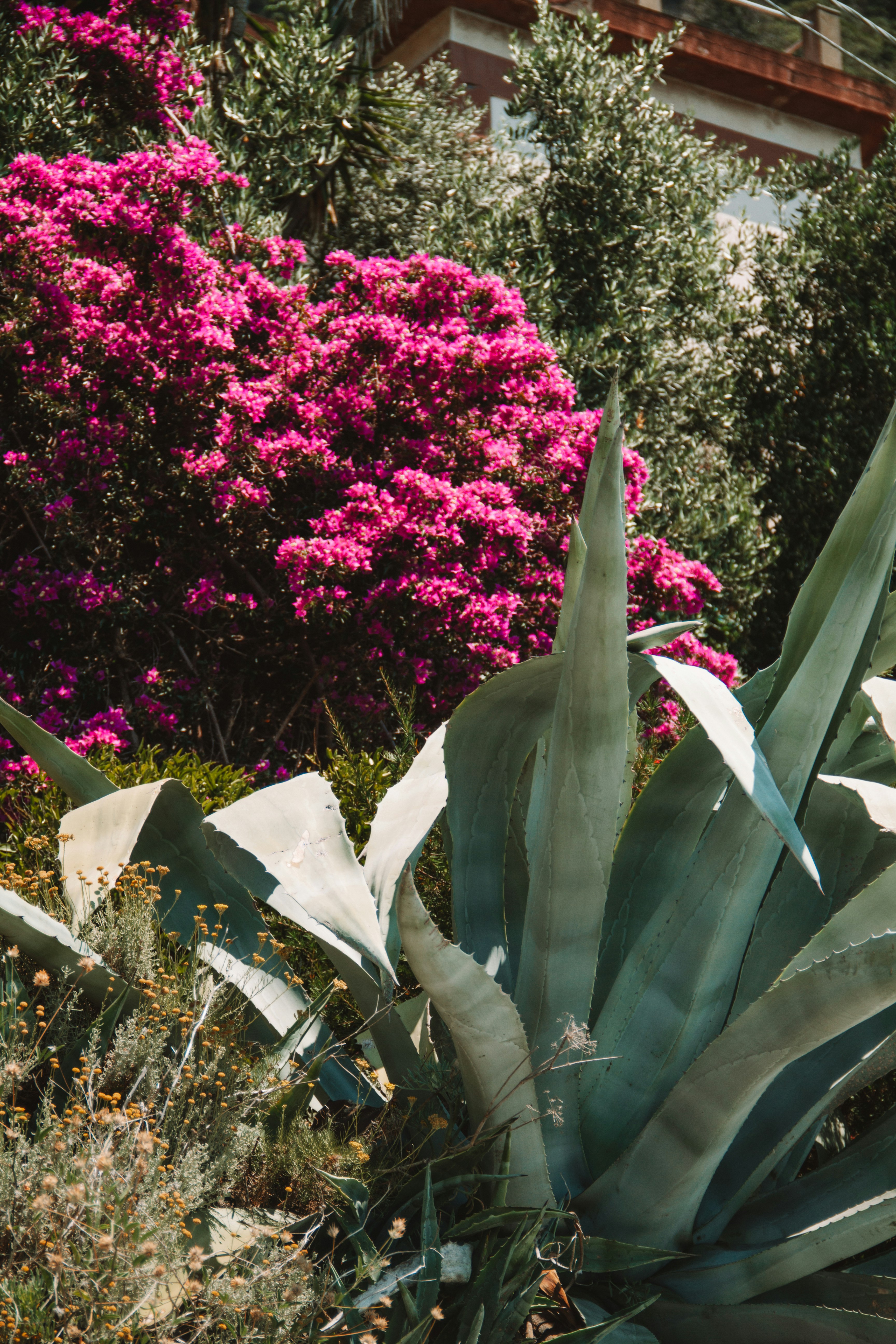 Photo by ingridmartinussen