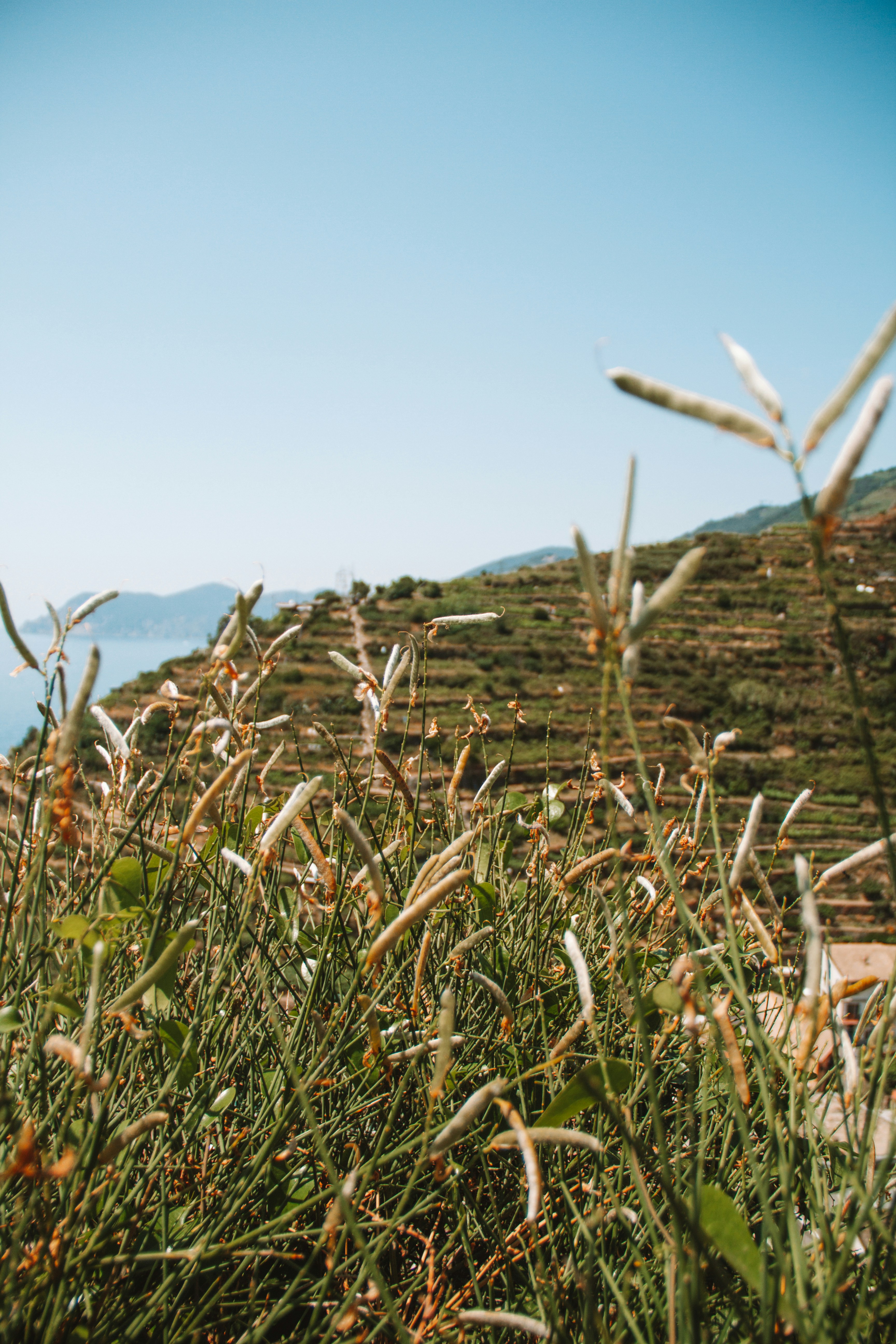 Photo by ingridmartinussen