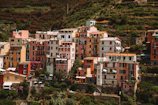 A cluster of vibrant, multicolored buildings stacked closely together on a hillside, surrounded by lush greenery and terraced vineyards. Each building features multiple stories with balconies and shutters, creating a picturesque, quaint atmosphere.