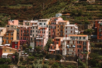 A cluster of vibrant, multicolored buildings stacked closely together on a hillside, surrounded by lush greenery and terraced vineyards. Each building features multiple stories with balconies and shutters, creating a picturesque, quaint atmosphere.