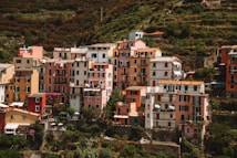 A cluster of vibrant, multicolored buildings stacked closely together on a hillside, surrounded by lush greenery and terraced vineyards. Each building features multiple stories with balconies and shutters, creating a picturesque, quaint atmosphere.