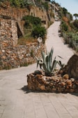 A winding stone pathway surrounded by vibrant plants and flowers within the residential colony.