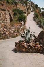 A stone pathway winding through a modern landscaped terrace surrounded by fresh plants.